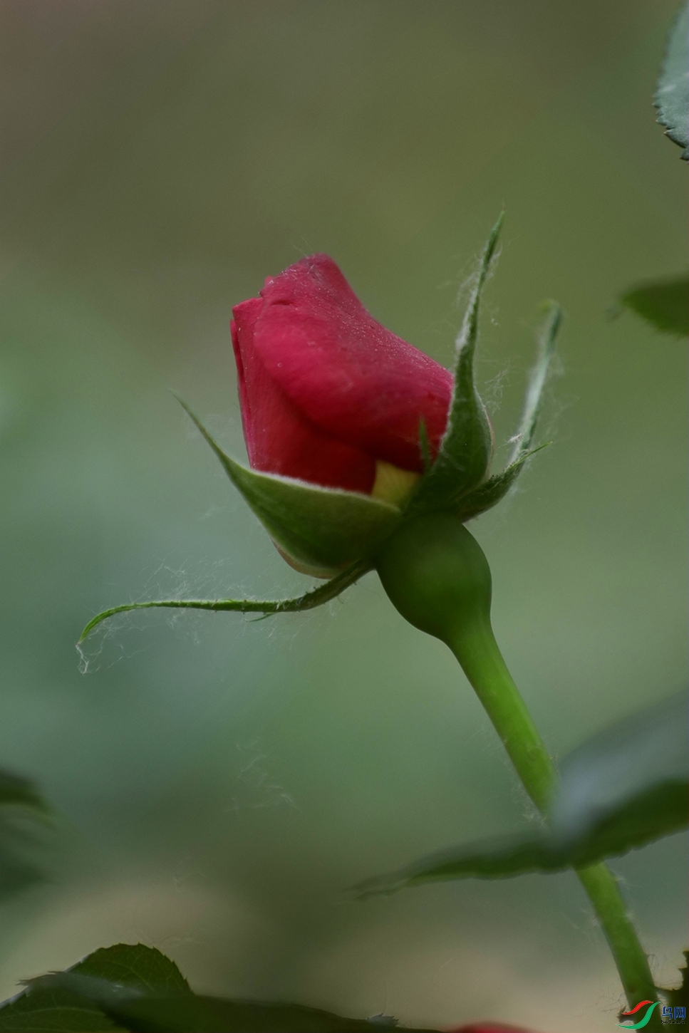 3X7A8052.jpg