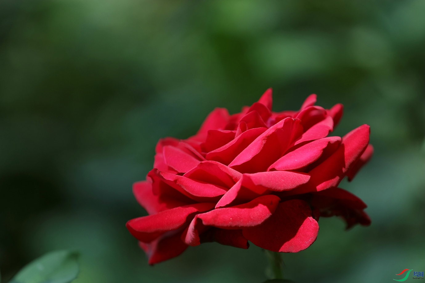3X7A8067.JPG