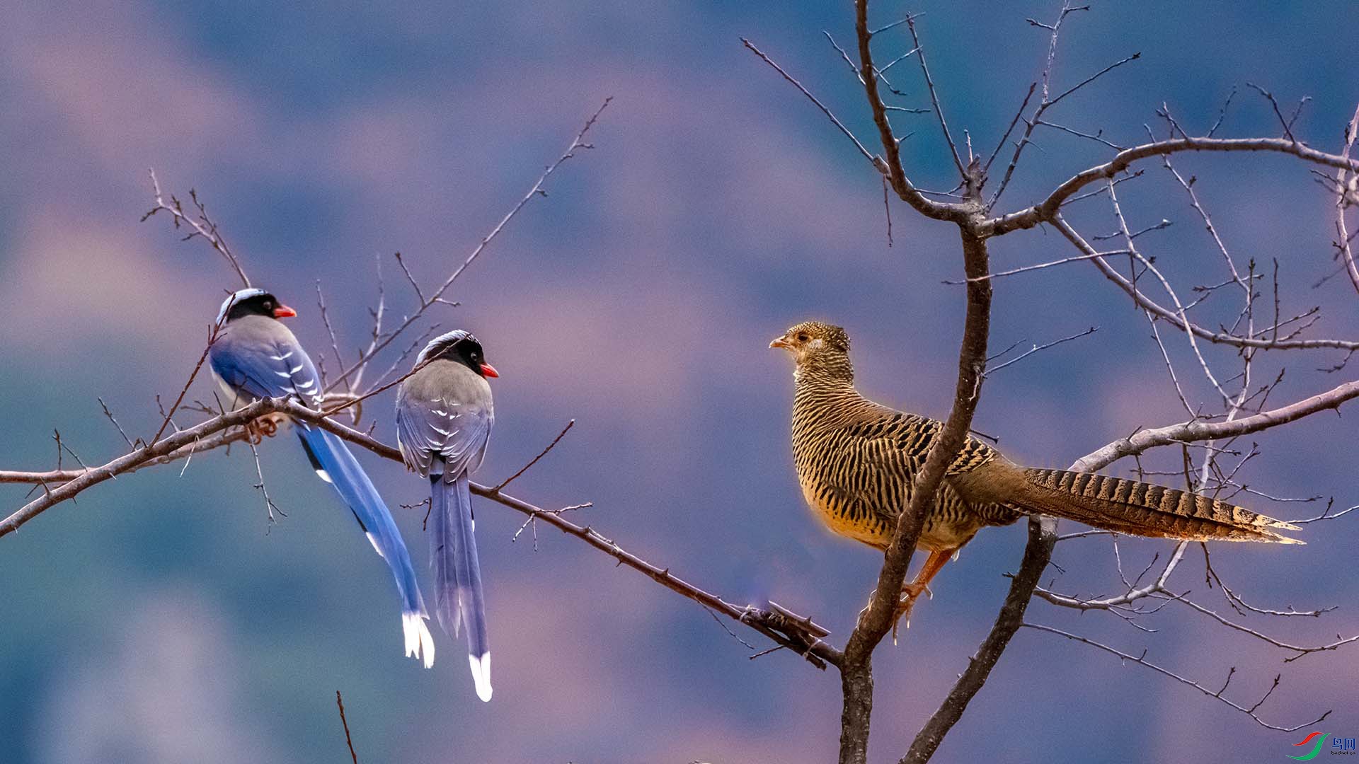 DSCF7444.jpg
