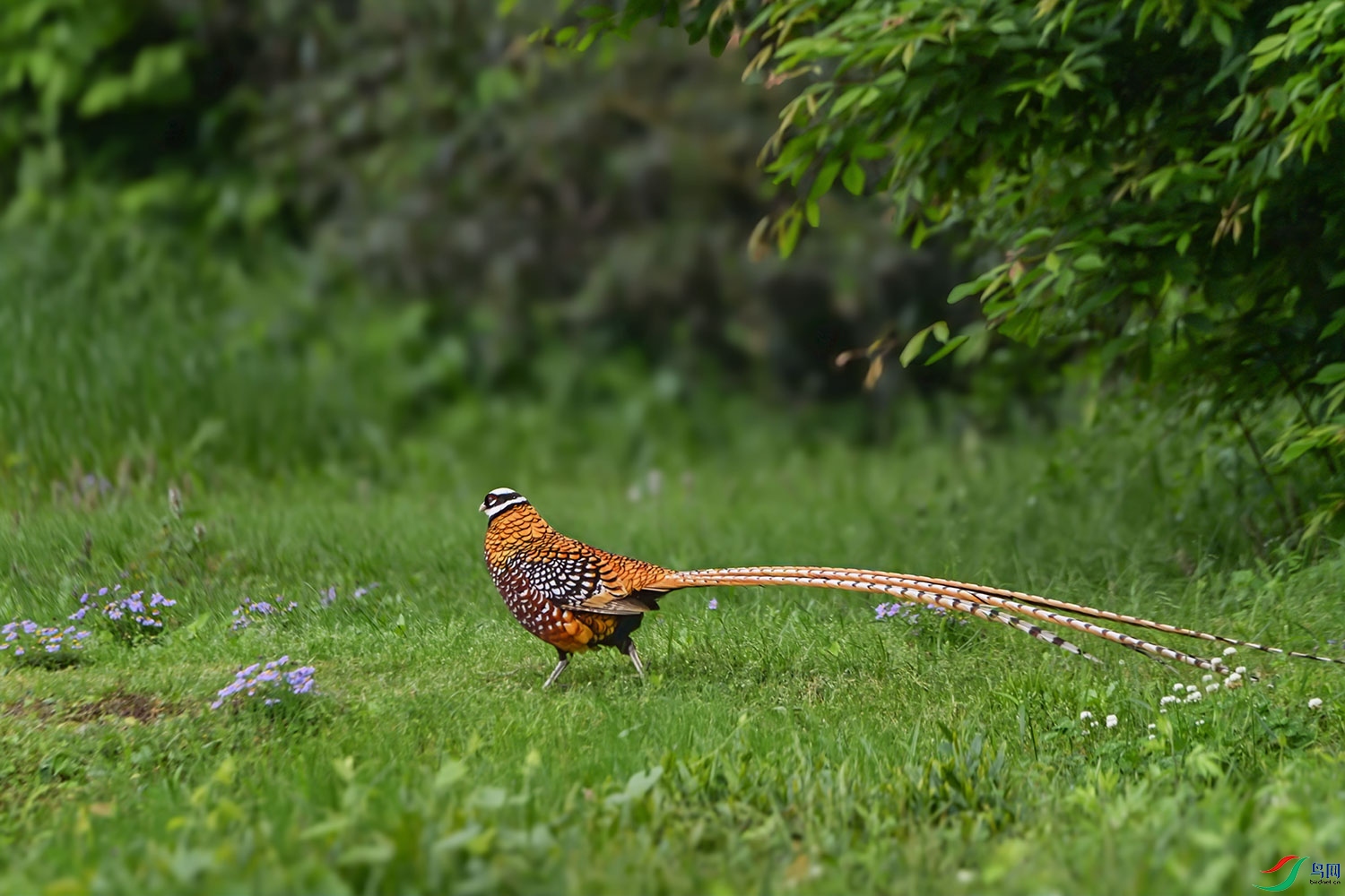 DSC_0690.jpg