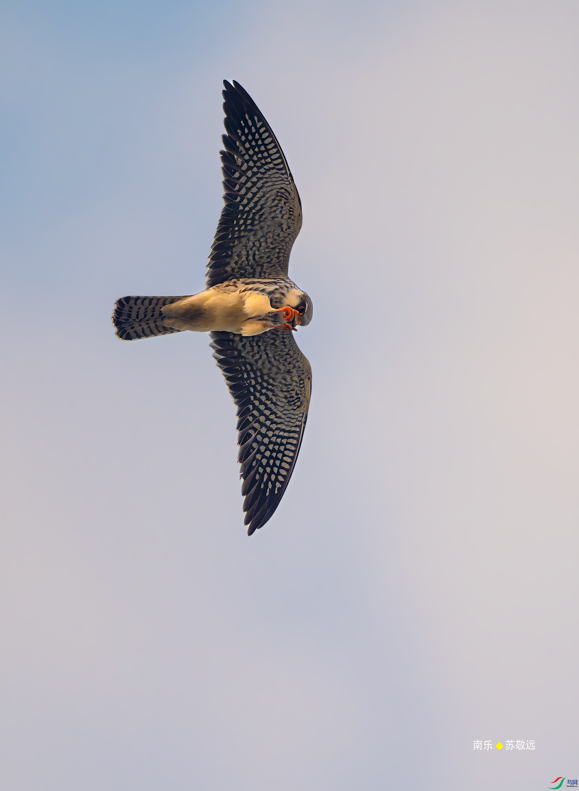 _DSC2266-DxO_С.jpg