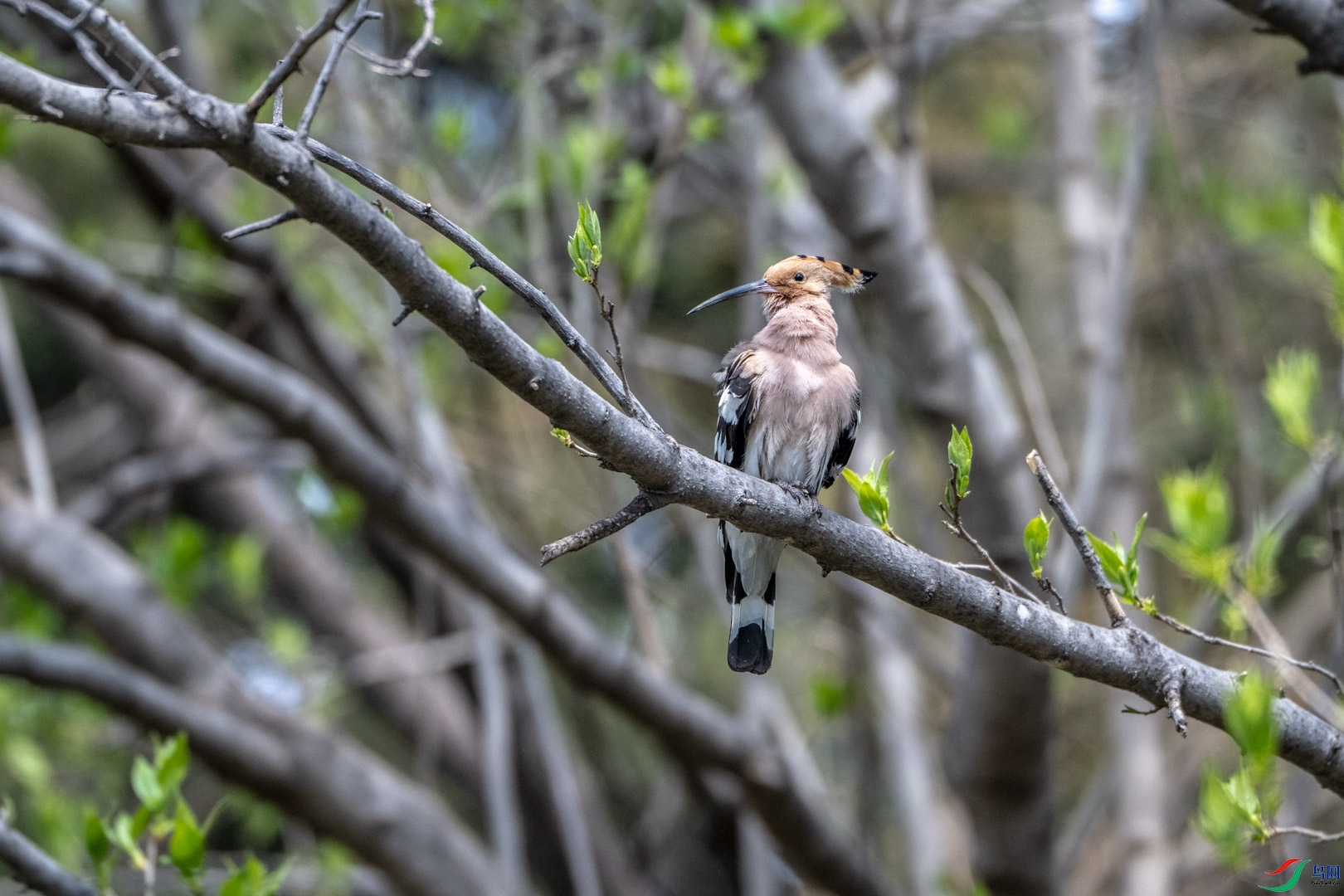 DSC_0757_1.jpg