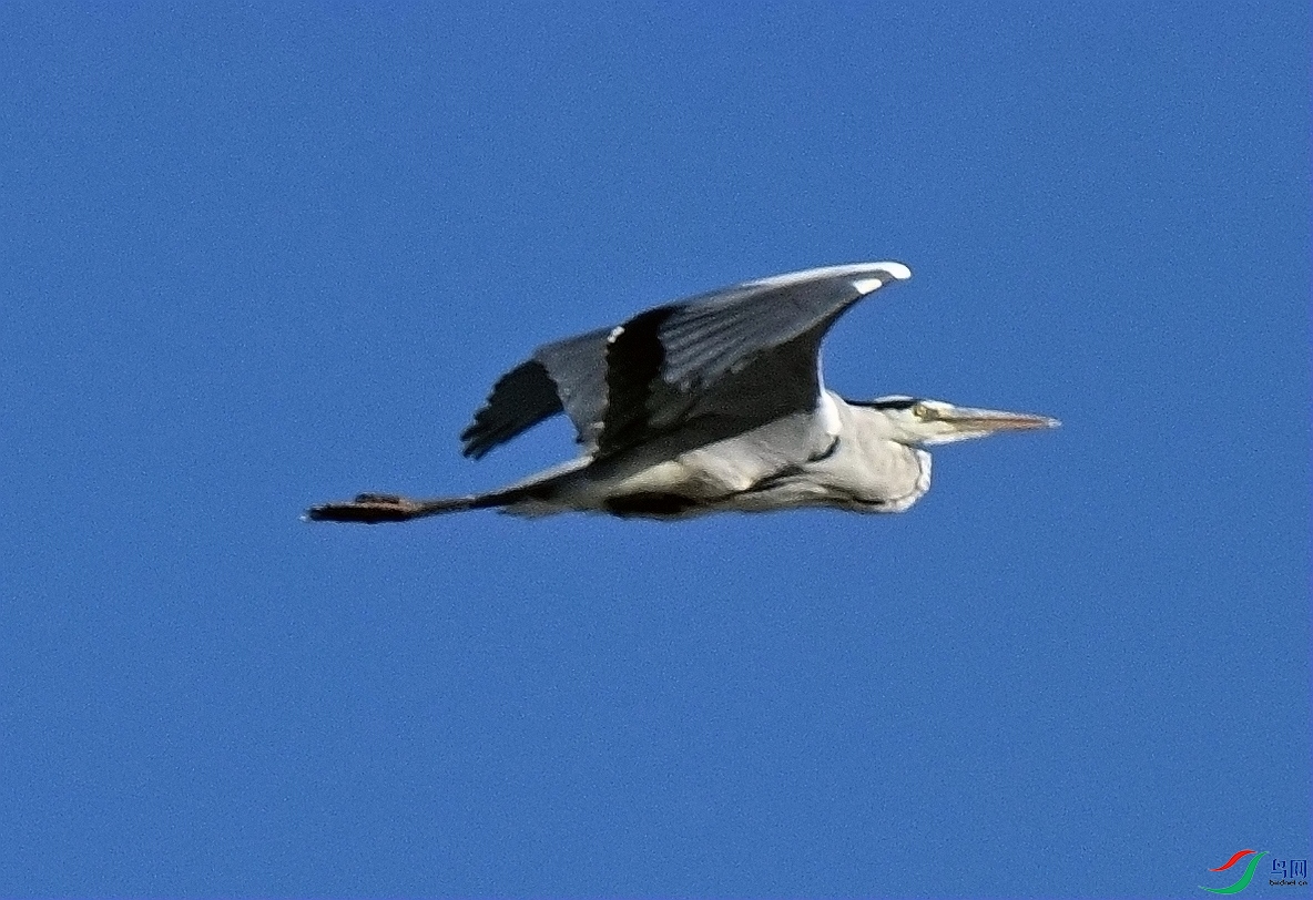 DSC_5513_����.jpg