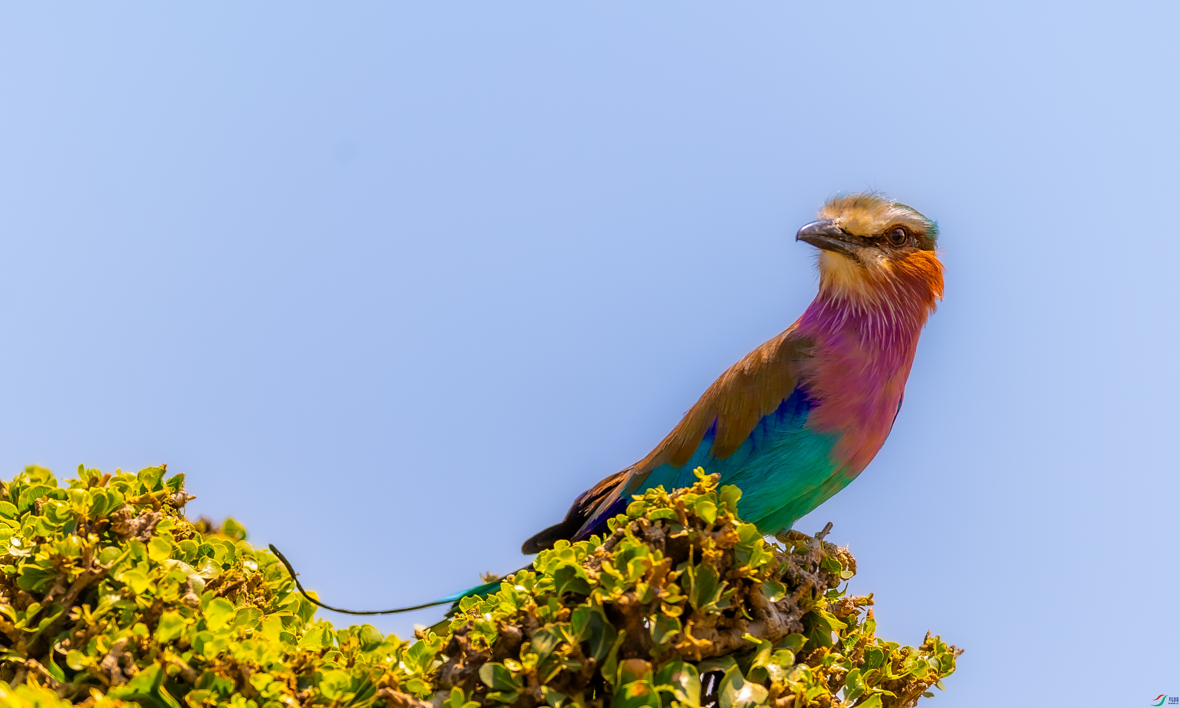 DSC_8089.jpg