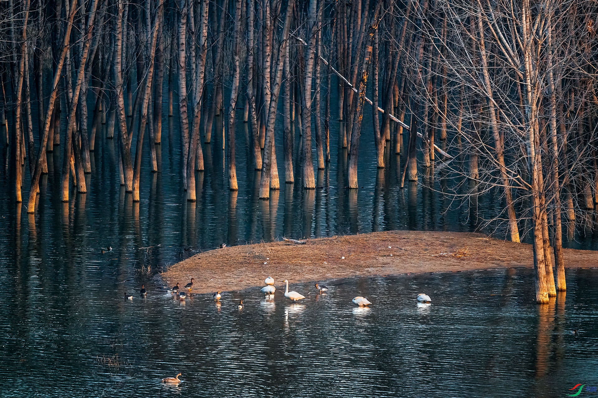_DSC7775.jpg