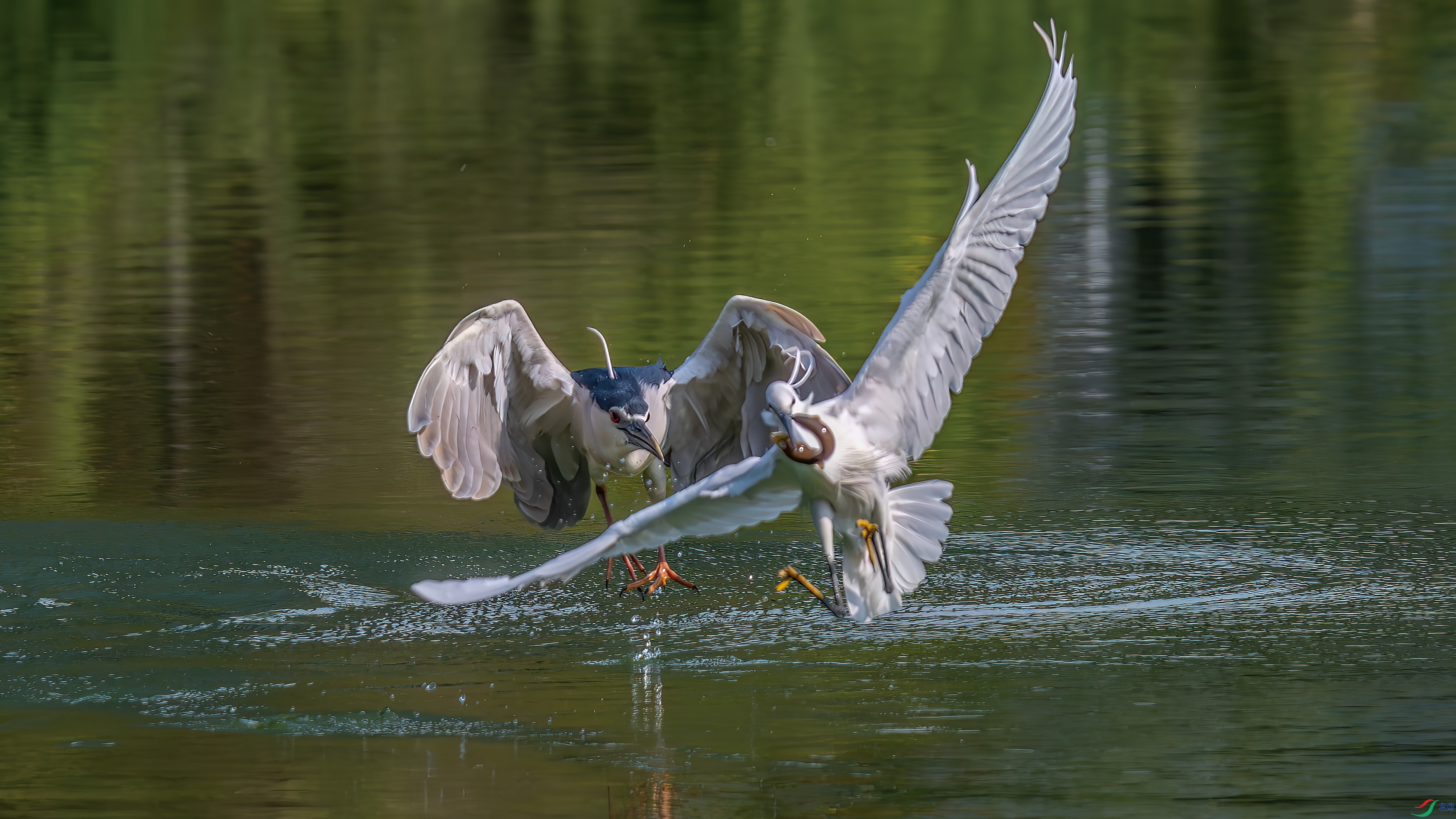 DSC_4120.jpg