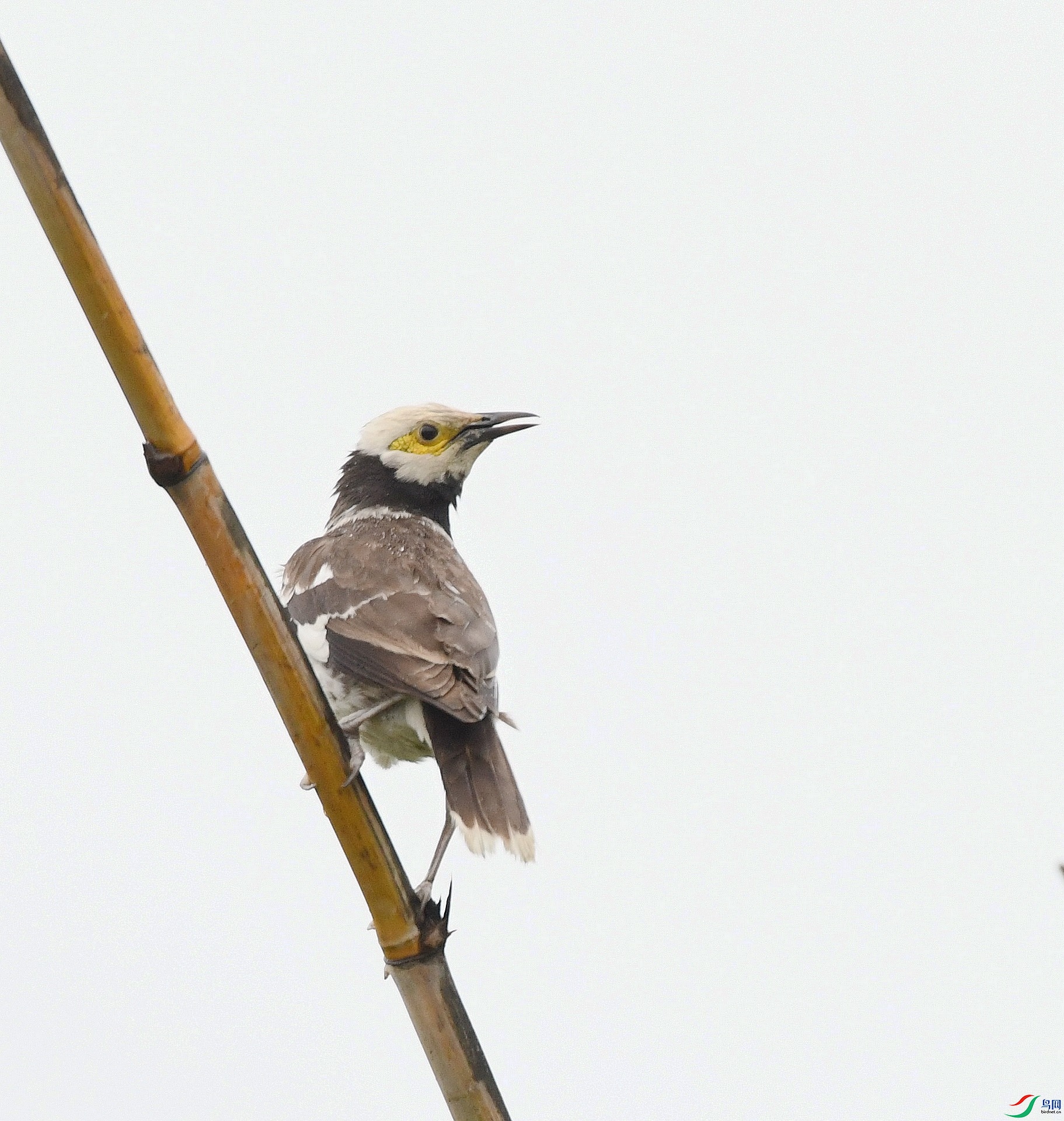 DSC_1792.jpg