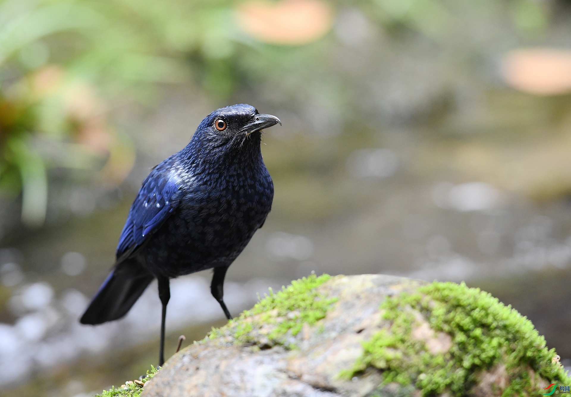 DSC_0782.jpg