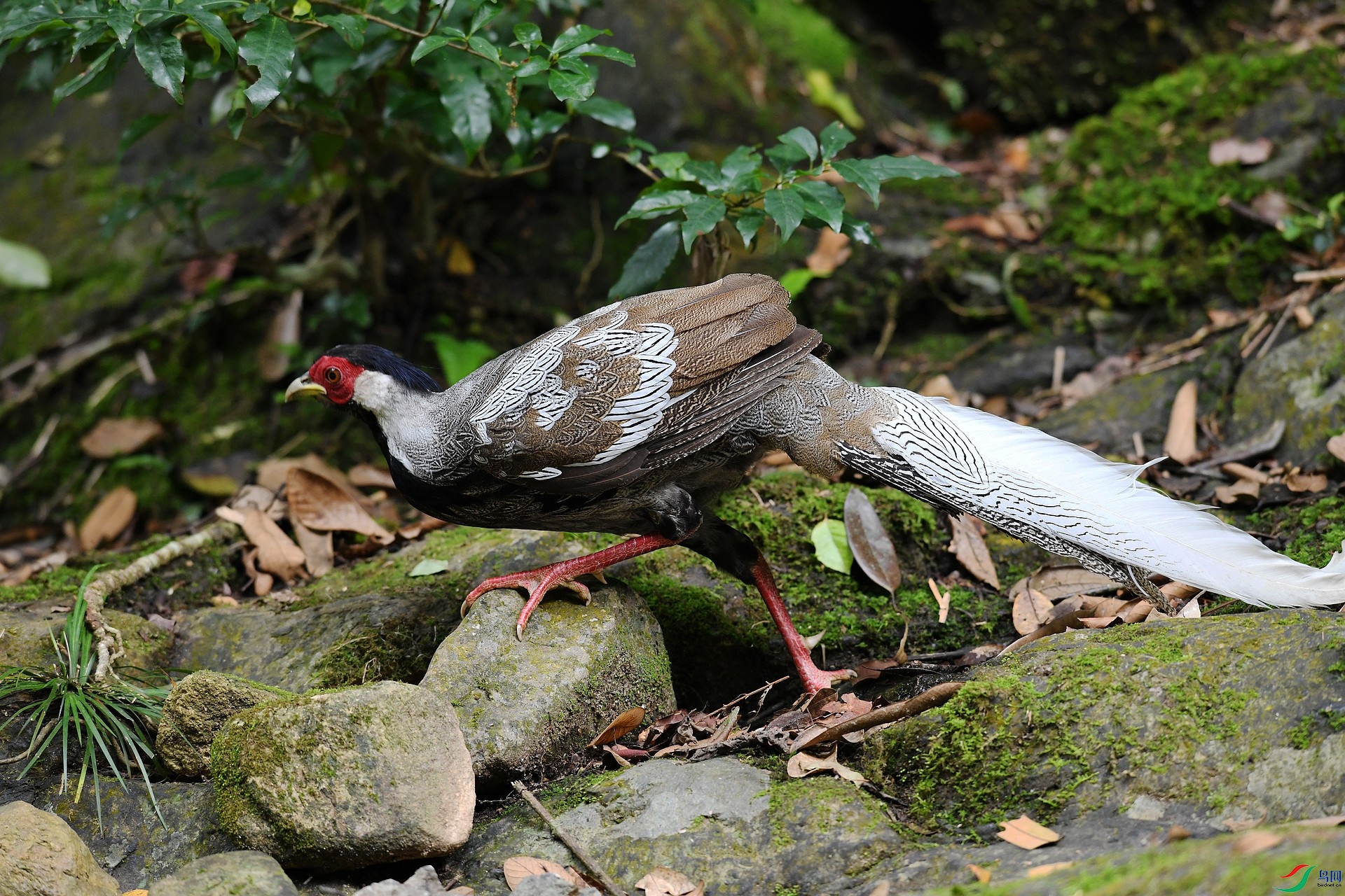 DSC_0616.jpg