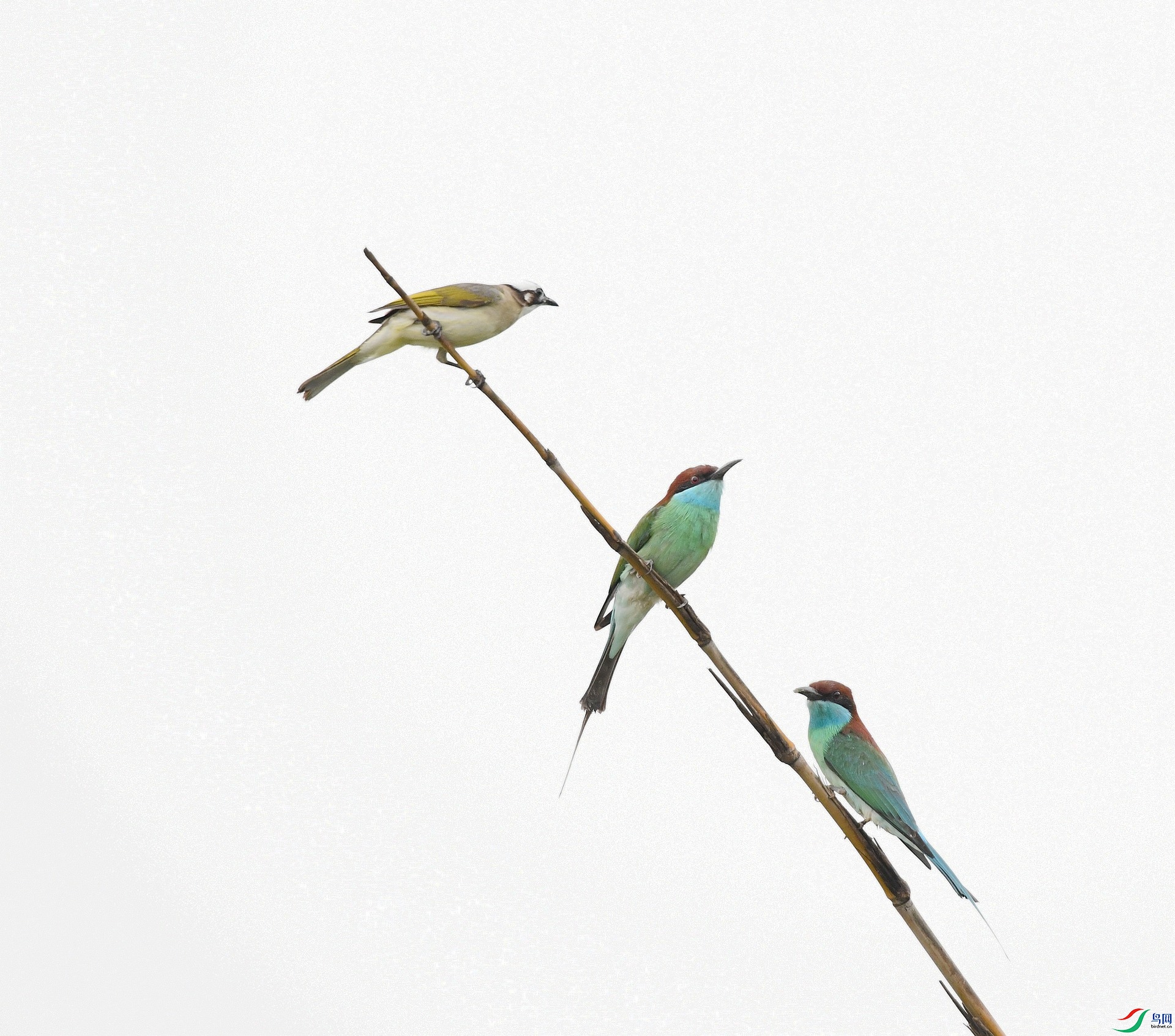 DSC_1502.jpg