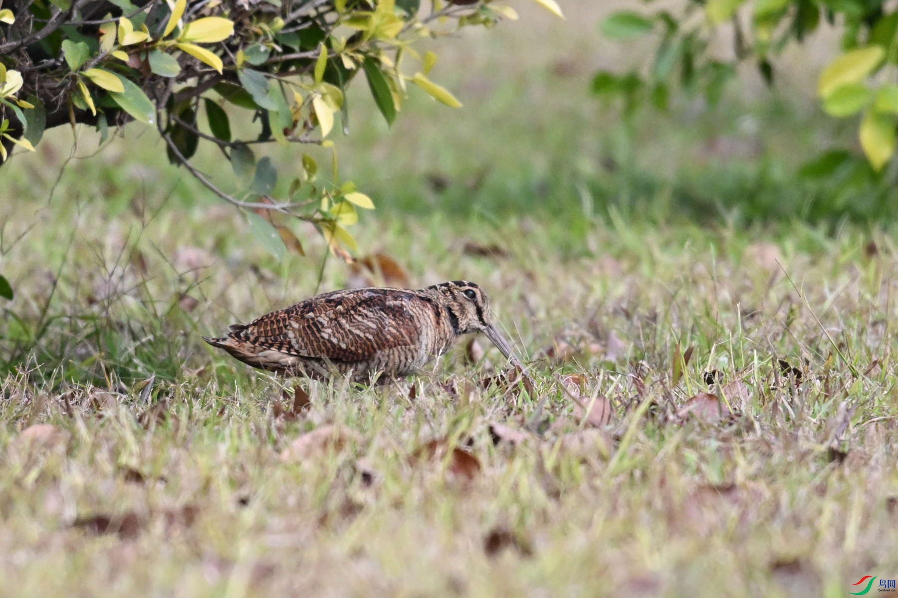 DSC_8416.JPG