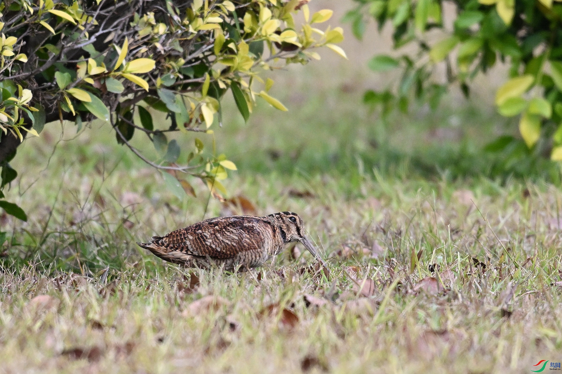 DSC_8417.JPG