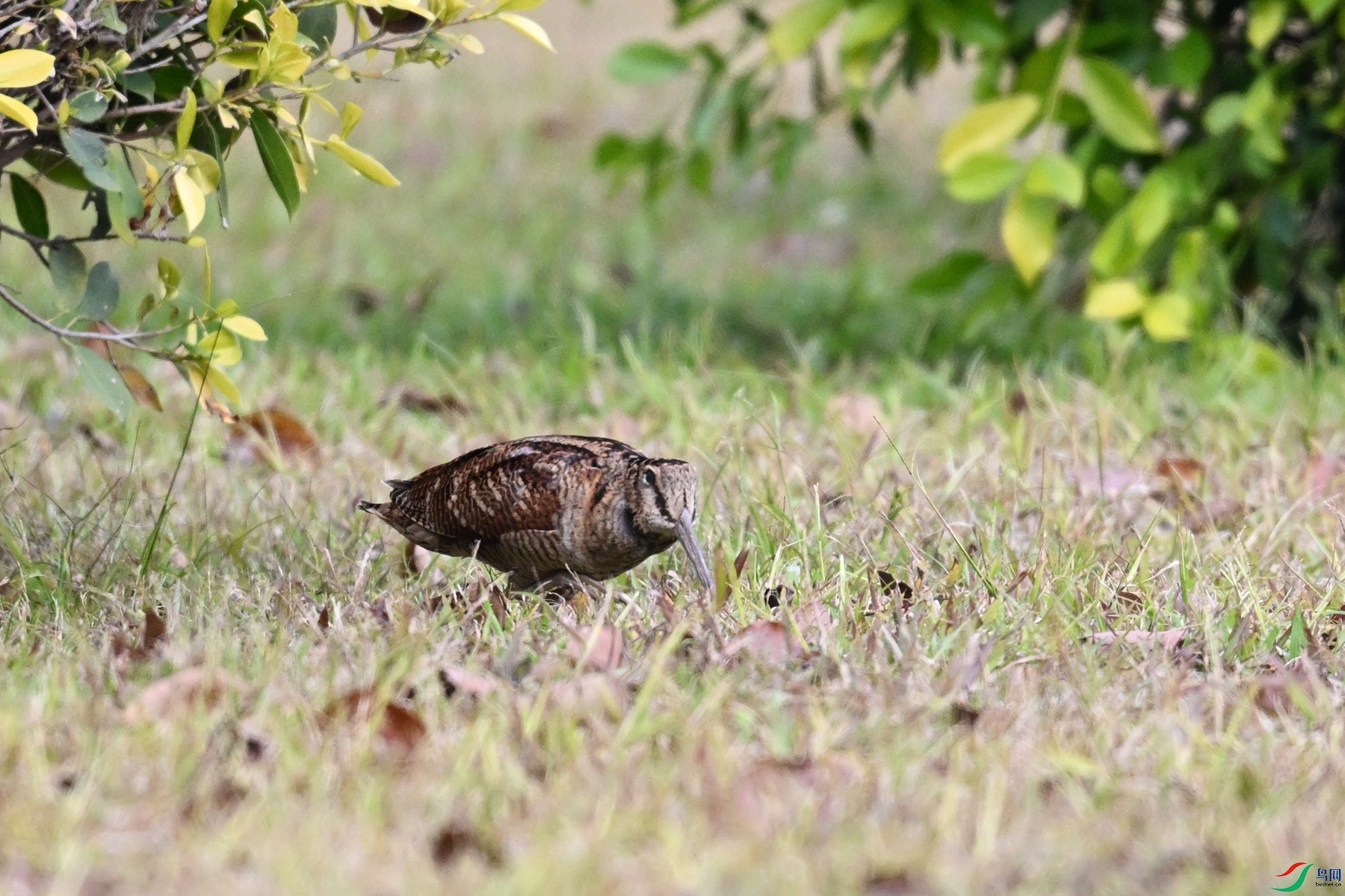 DSC_8419.JPG