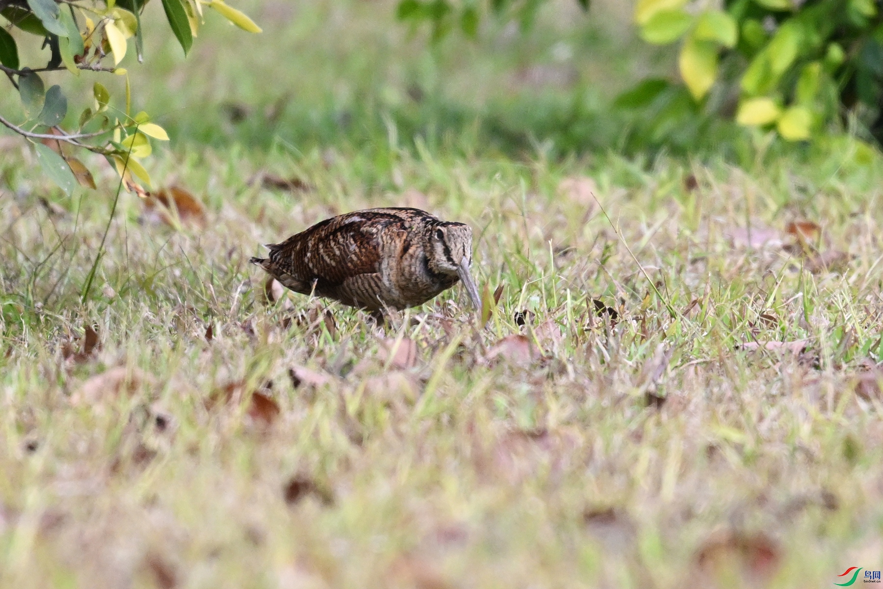 DSC_8420.JPG