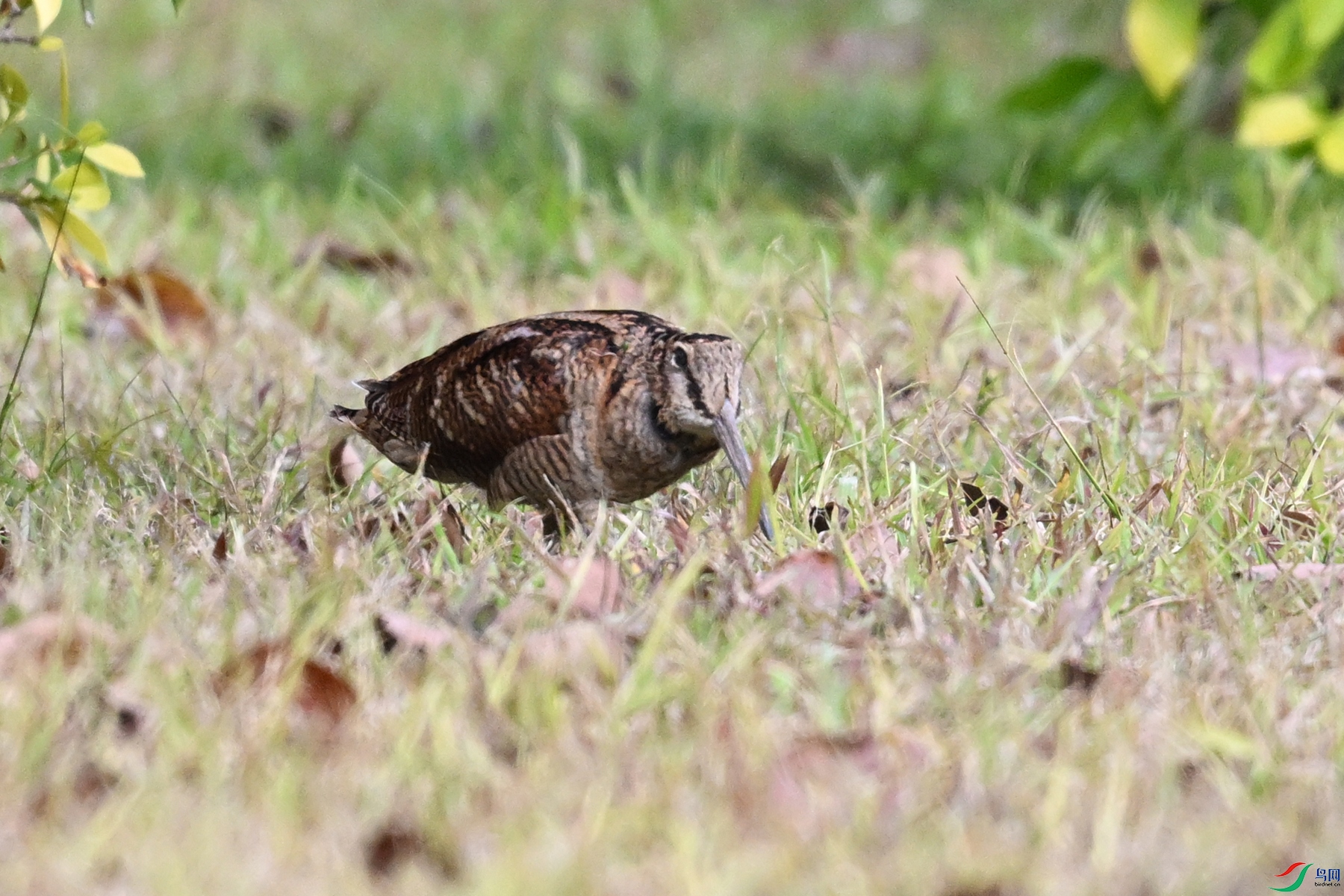 DSC_8421.JPG