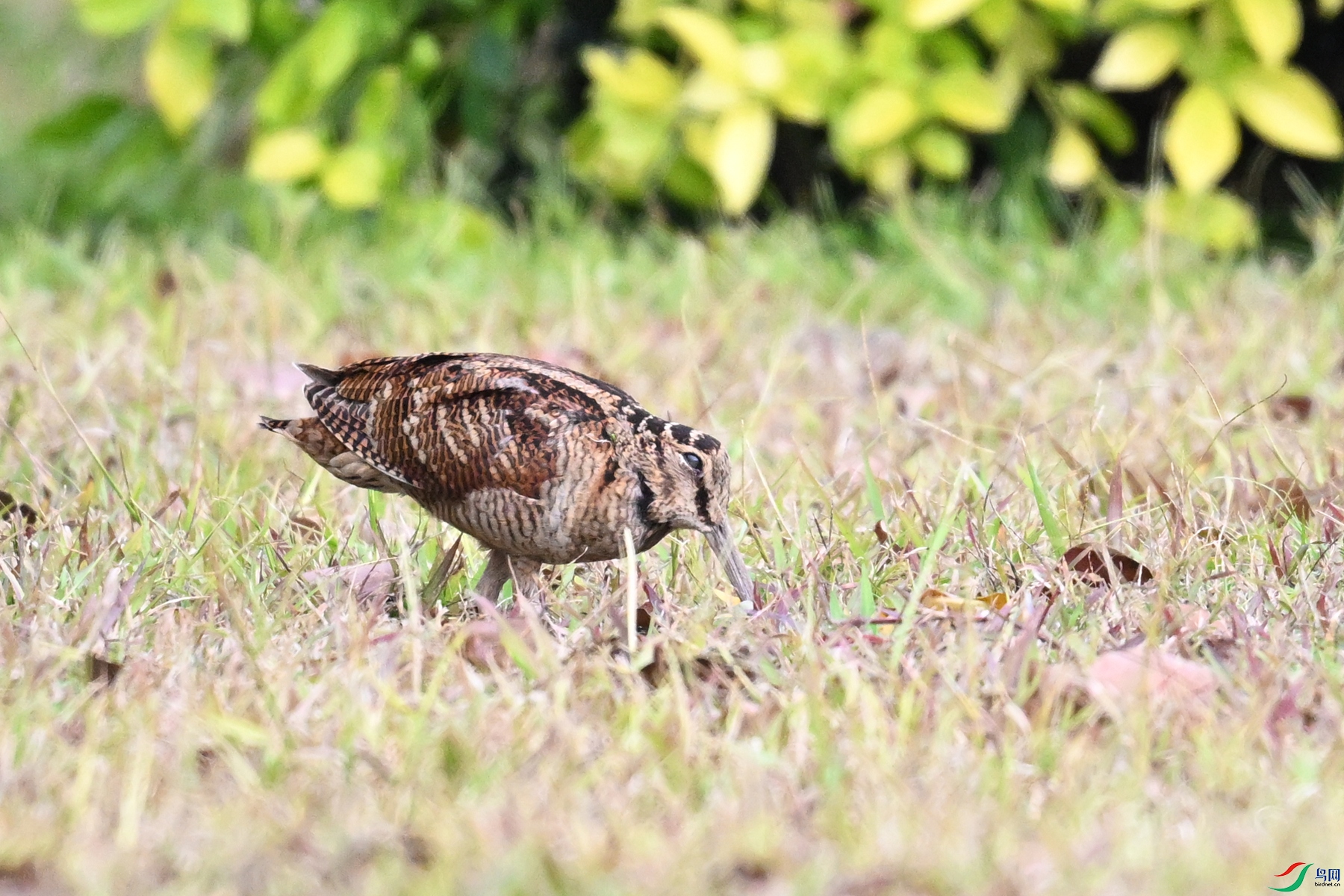 DSC_8427.JPG