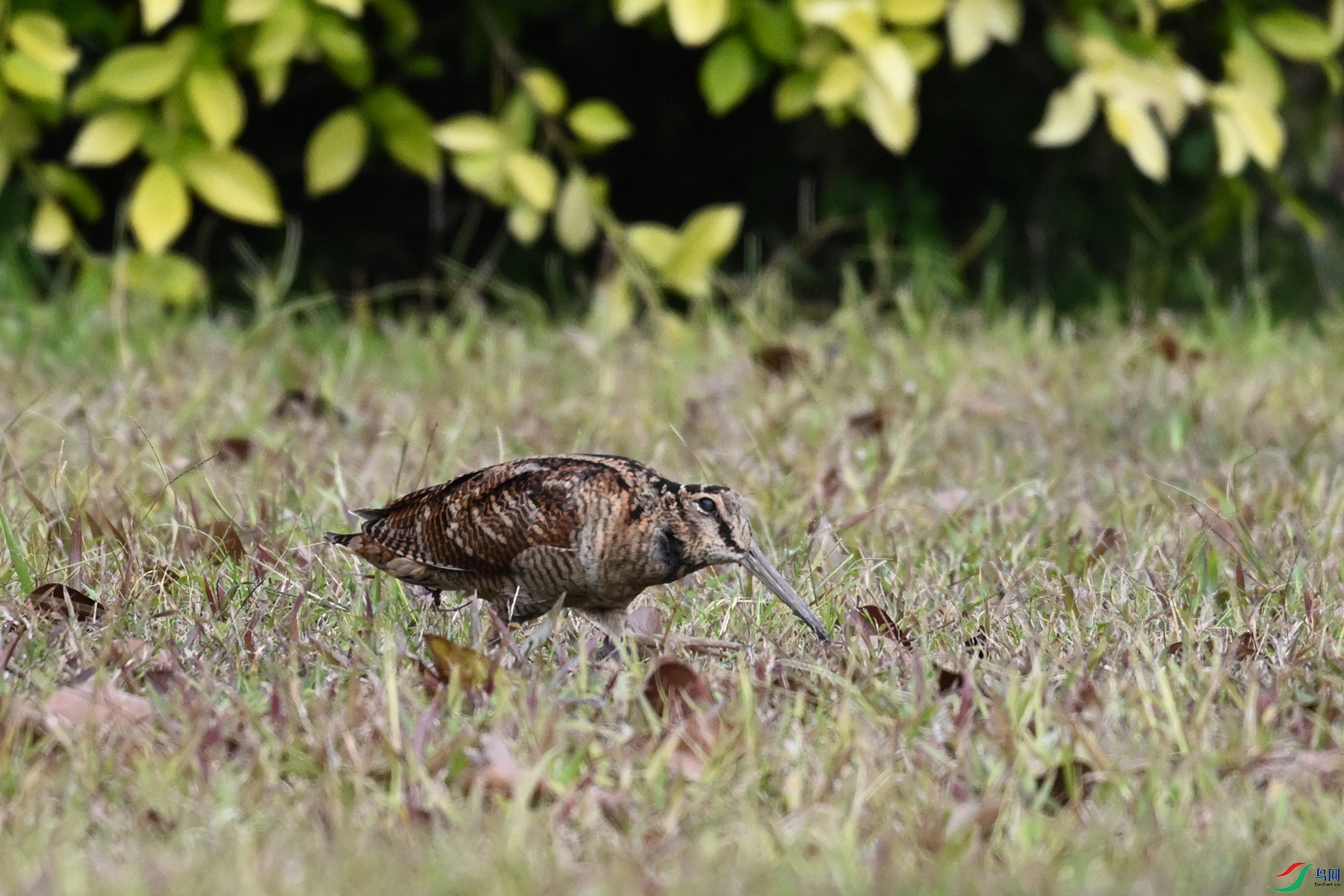 DSC_8432.JPG