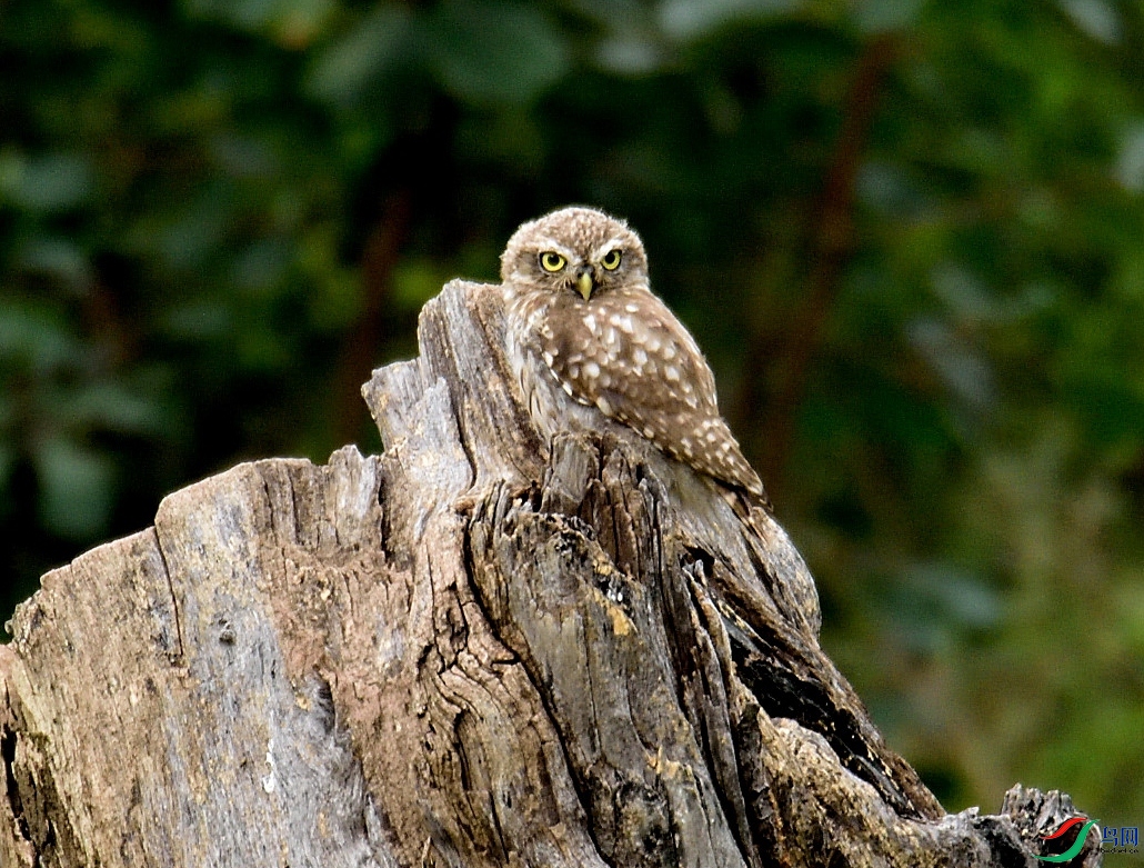 DSC_5208.JPG