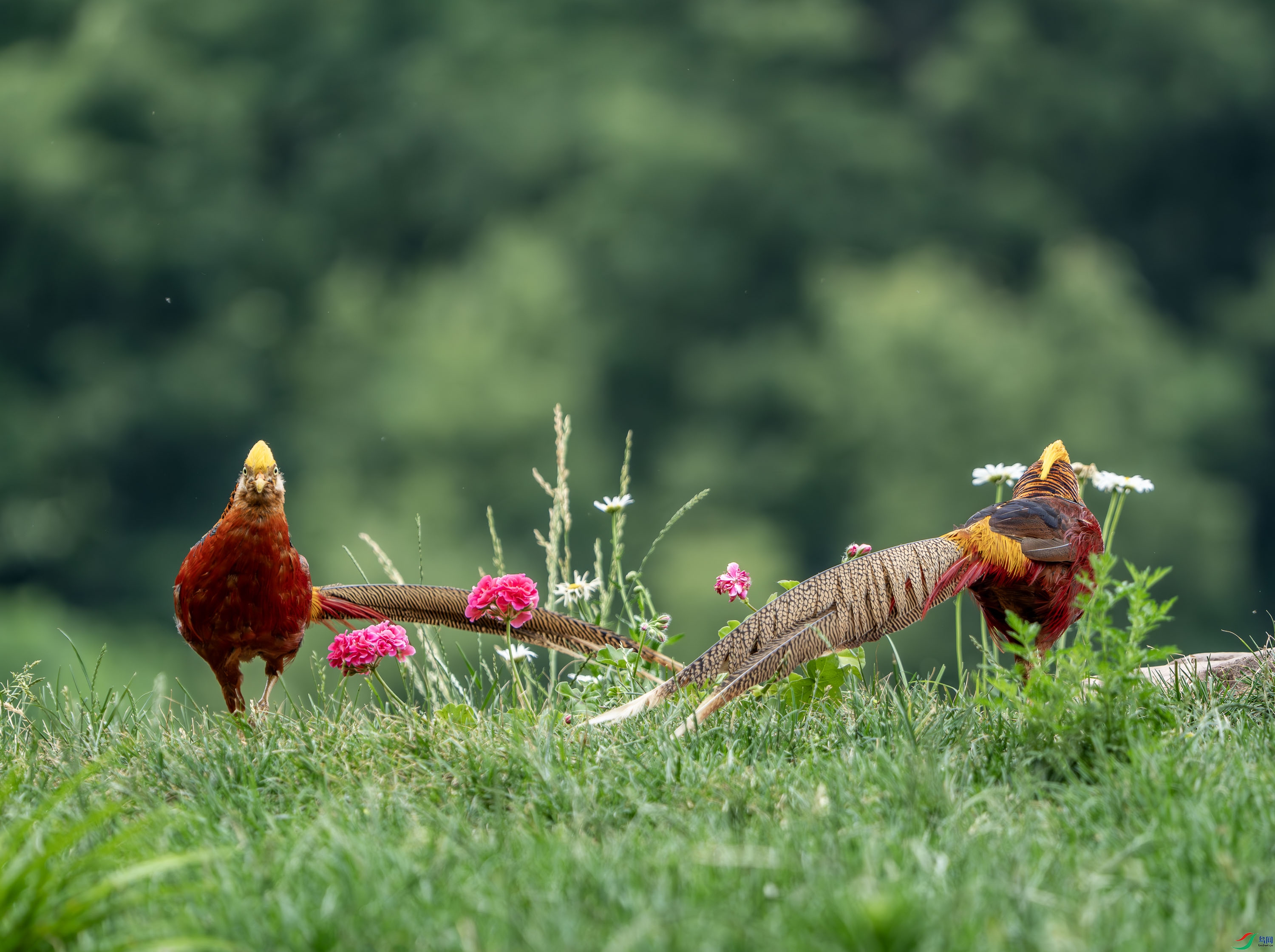 �츹����-19.jpg