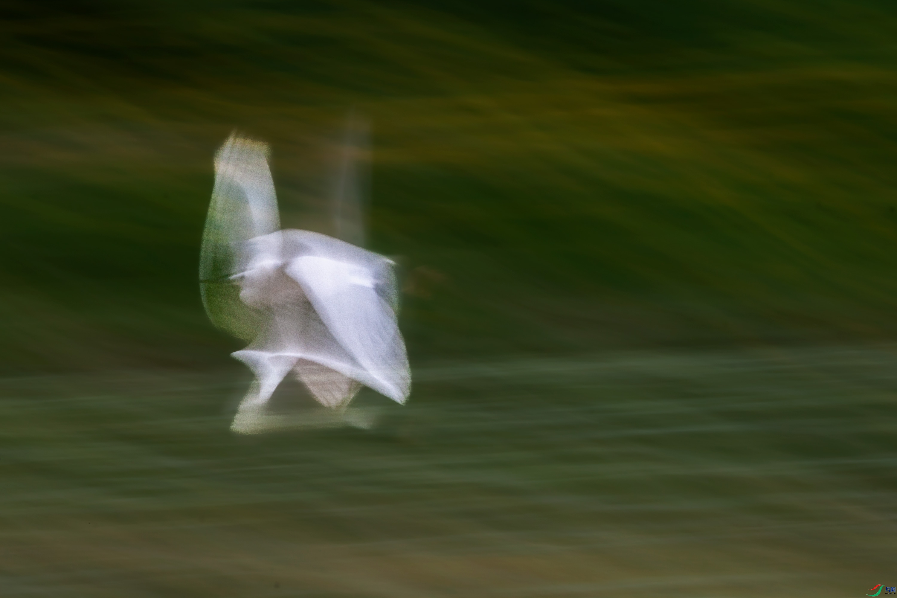 IMG_7623.jpg
