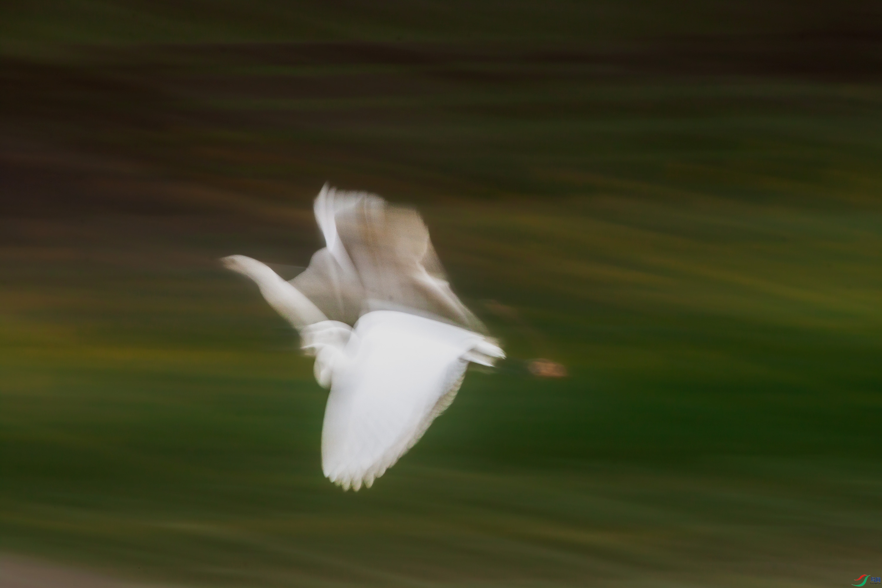 IMG_7625.jpg