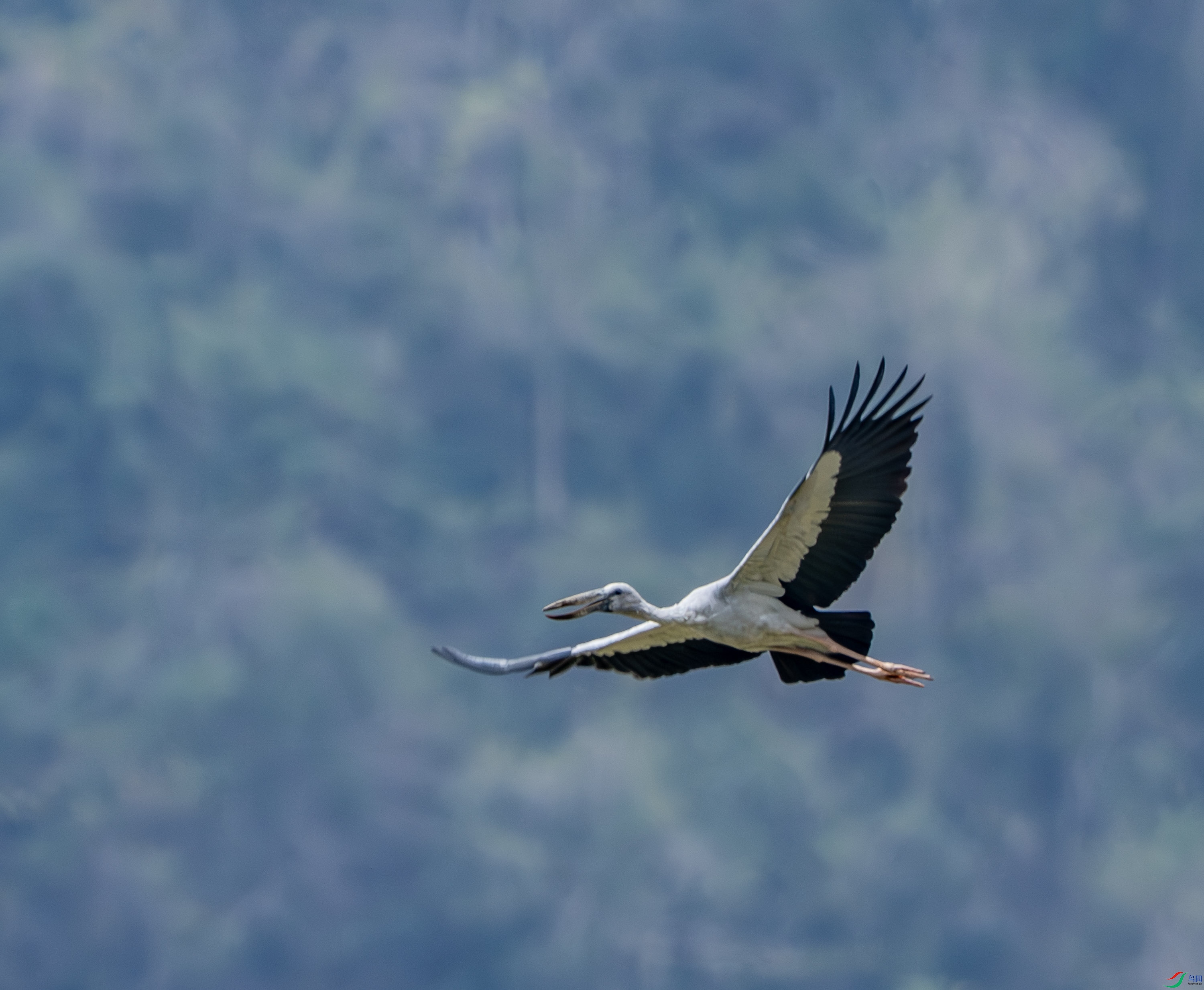 ǯ����-6-3.jpg