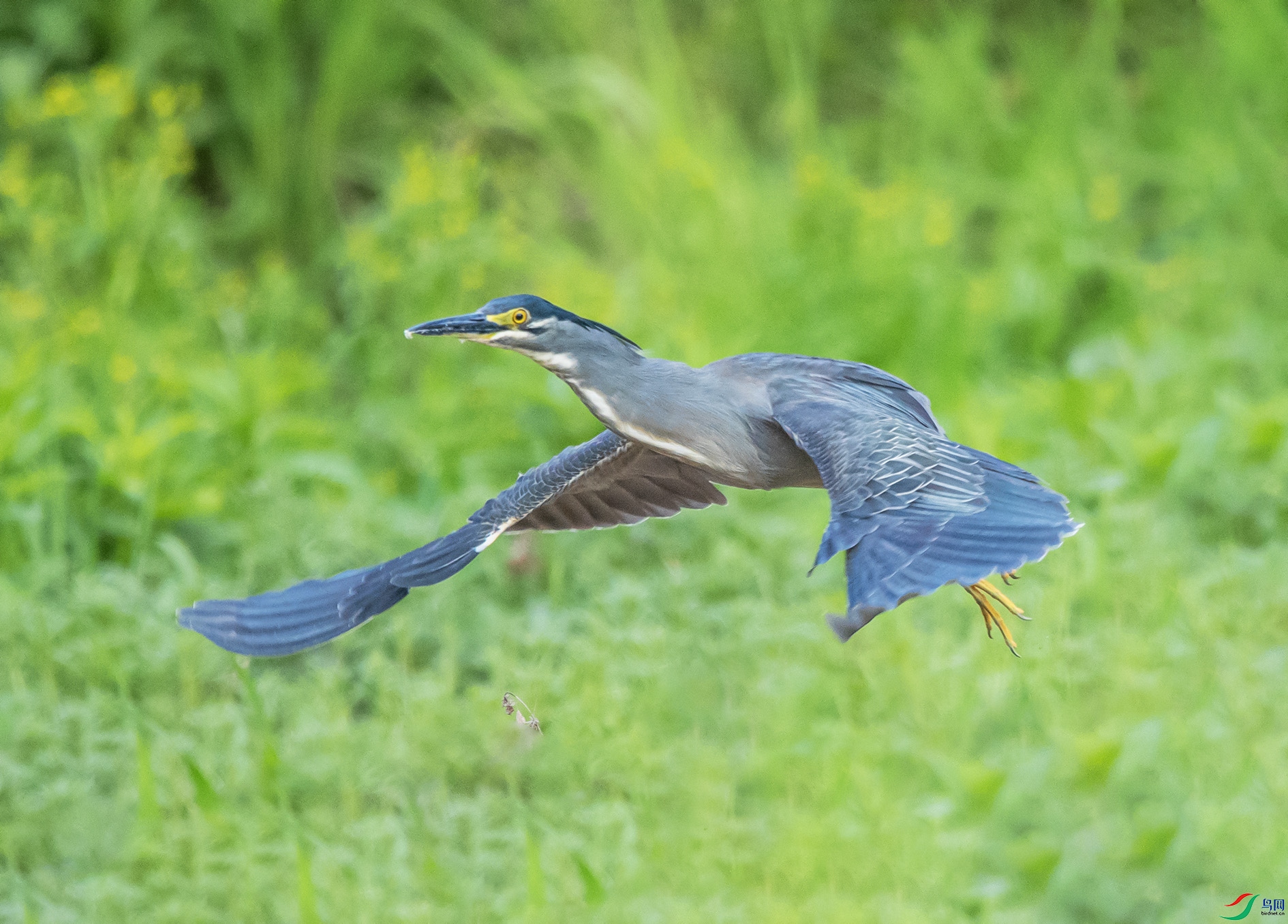 DSC_1223_��ͼ�� ����.jpg