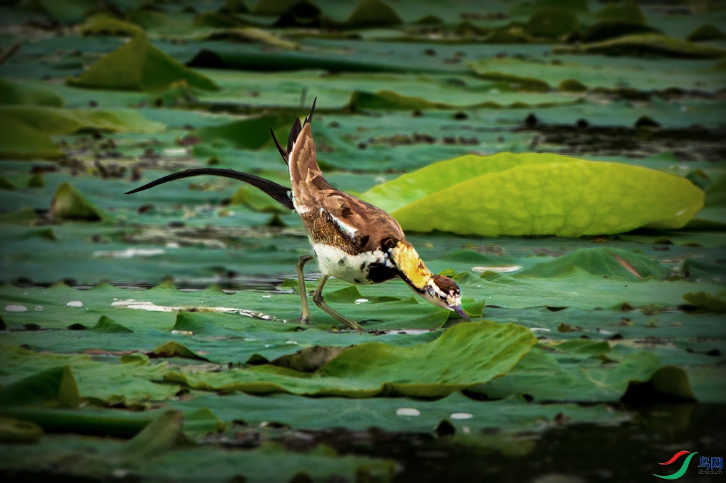 _DSC3366.jpg