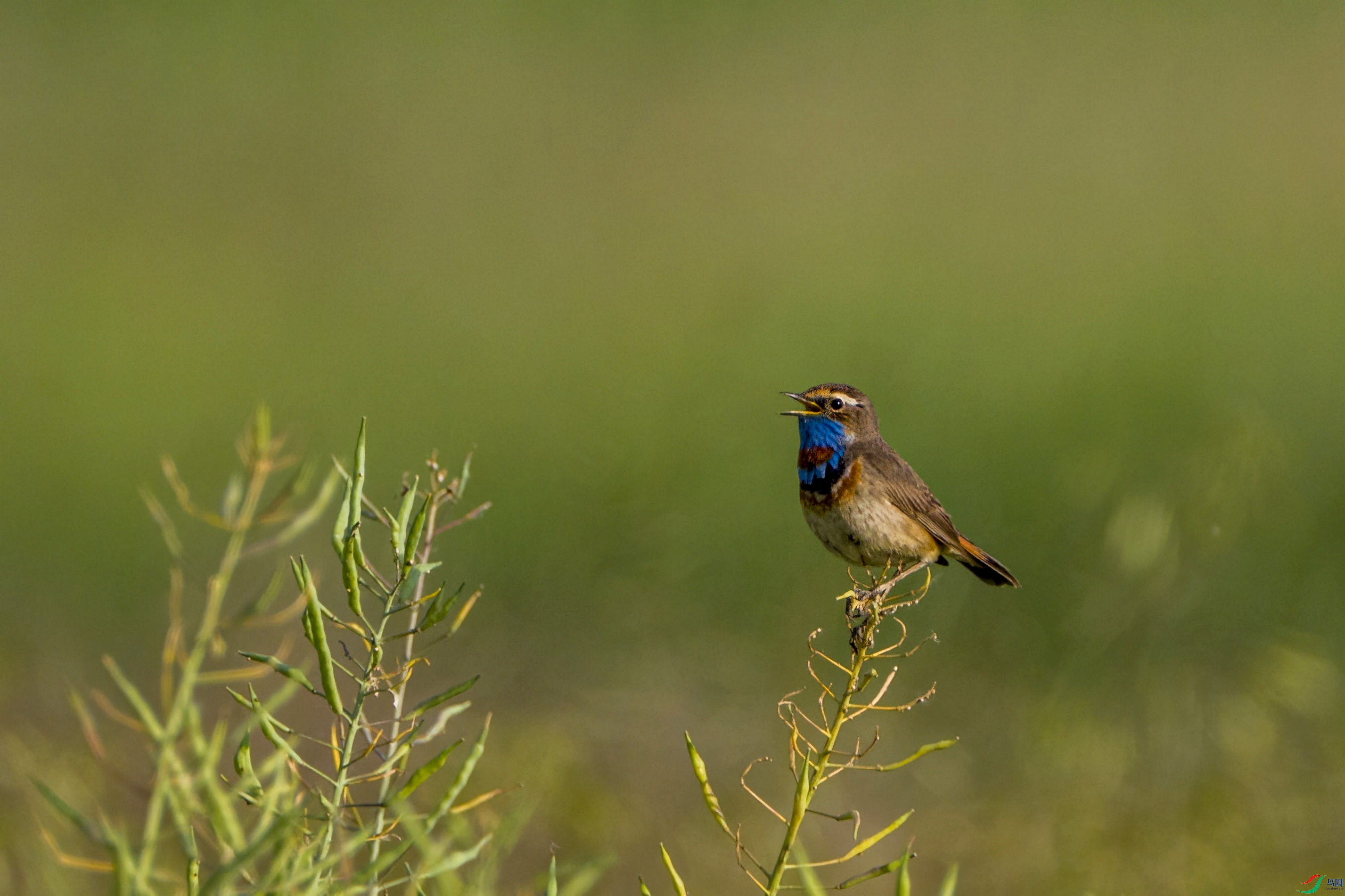 _DSC5708F001.jpg