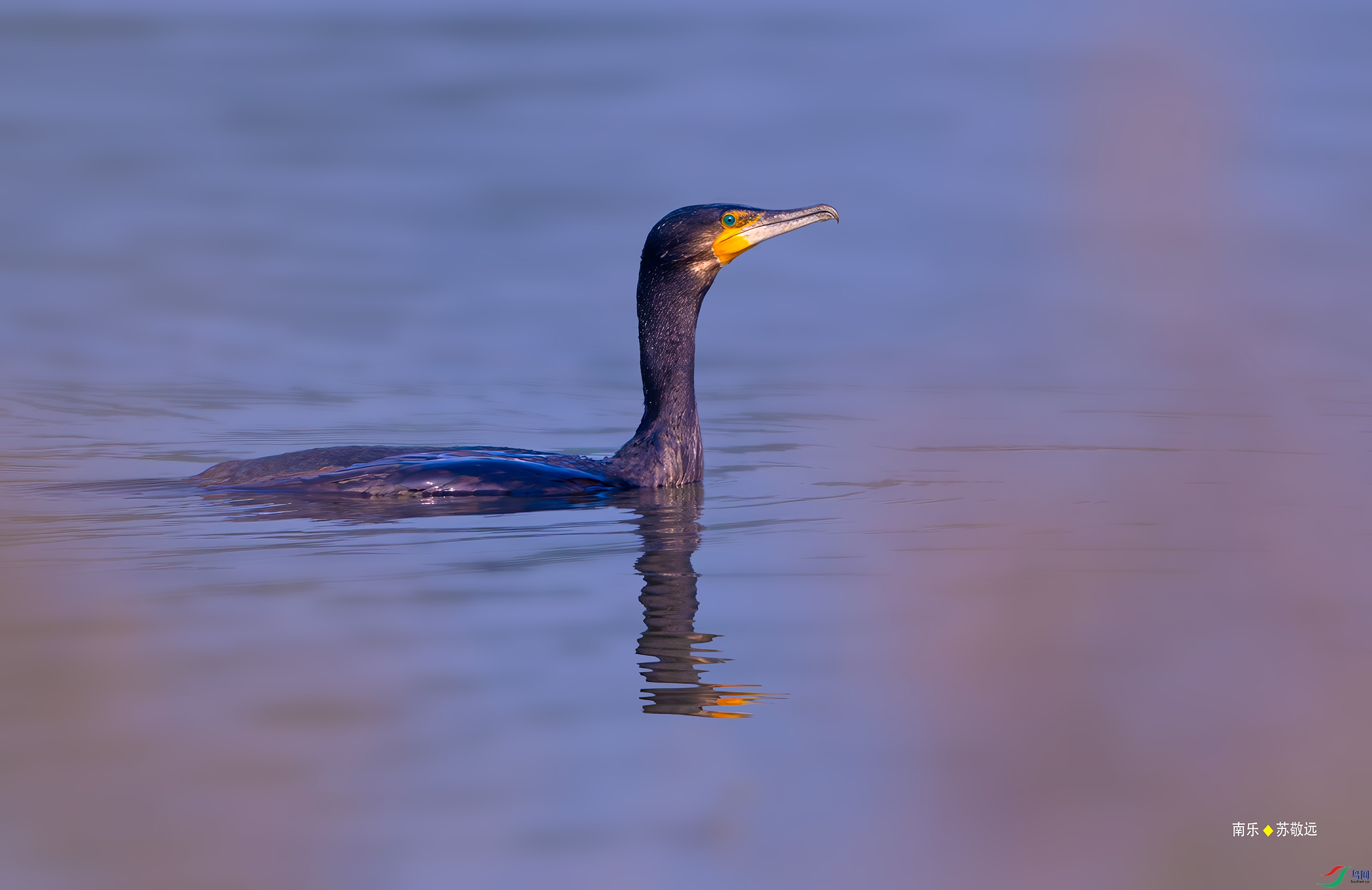 _DSC1583-DxO_С.jpg