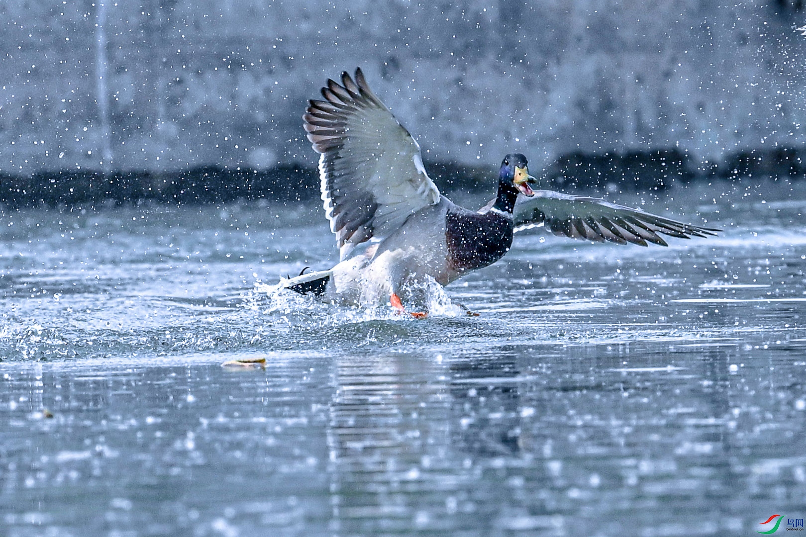 DSC_5056.jpg