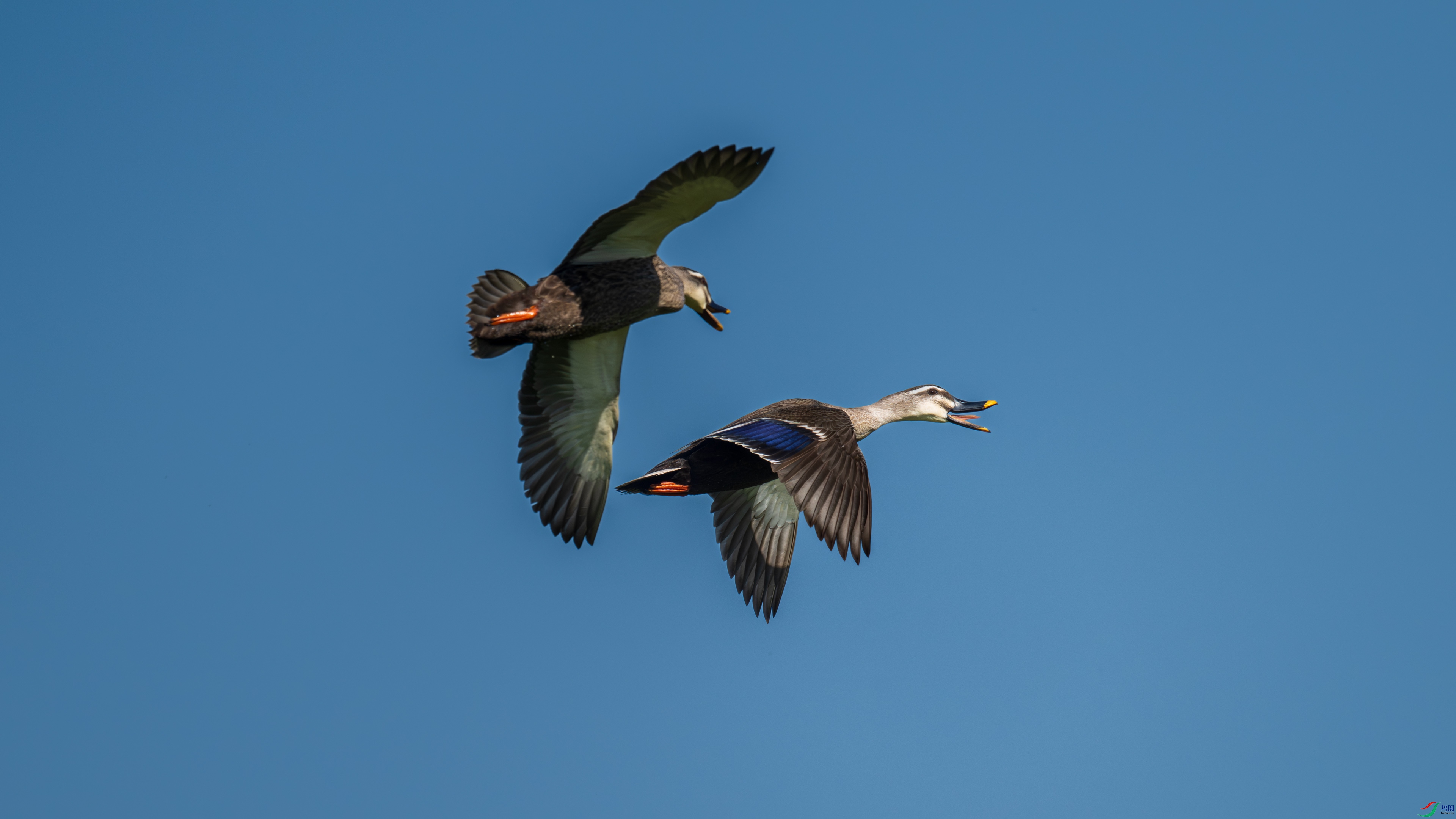 DSC_2076.jpg
