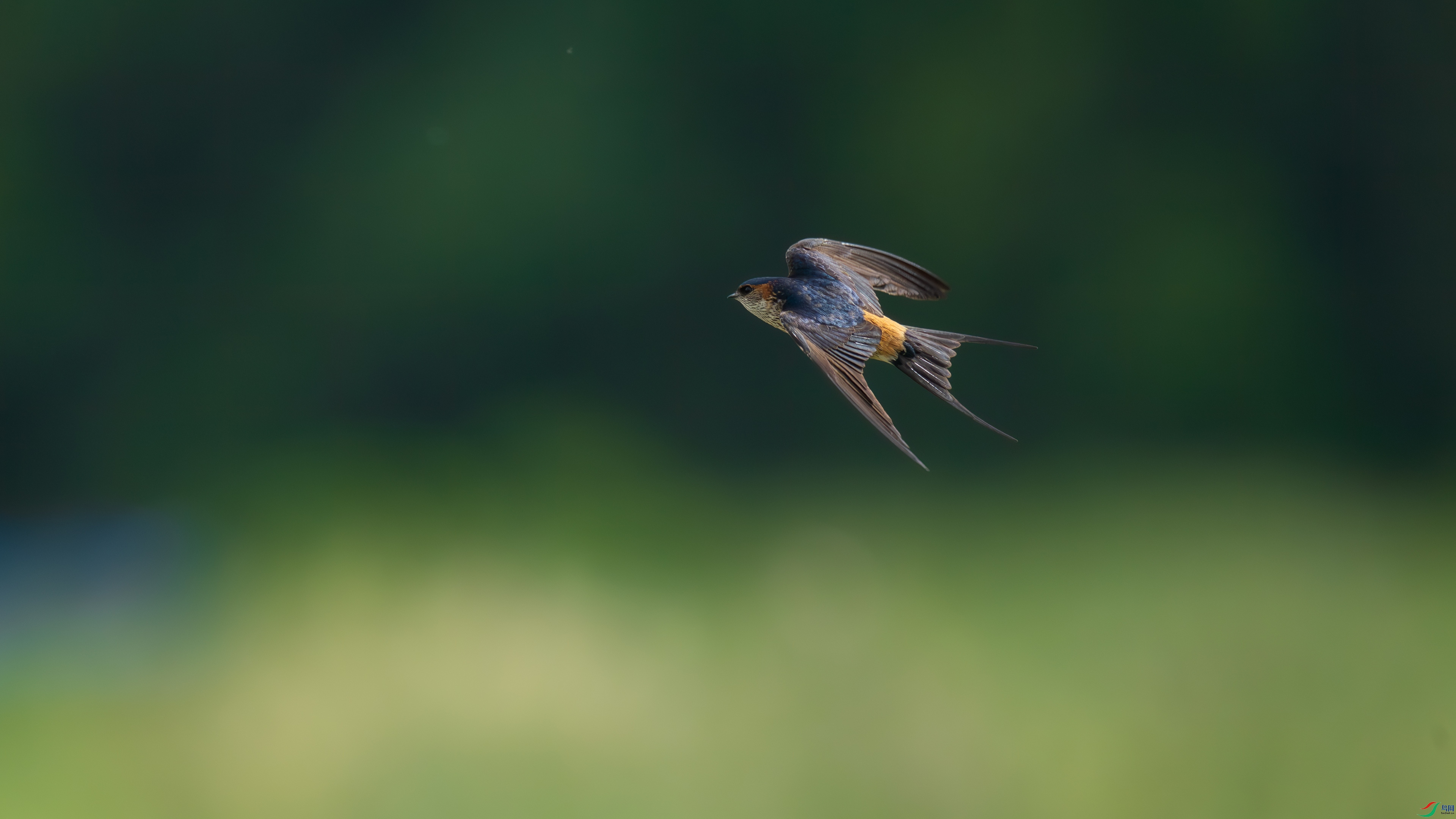 DSC_0999.jpg