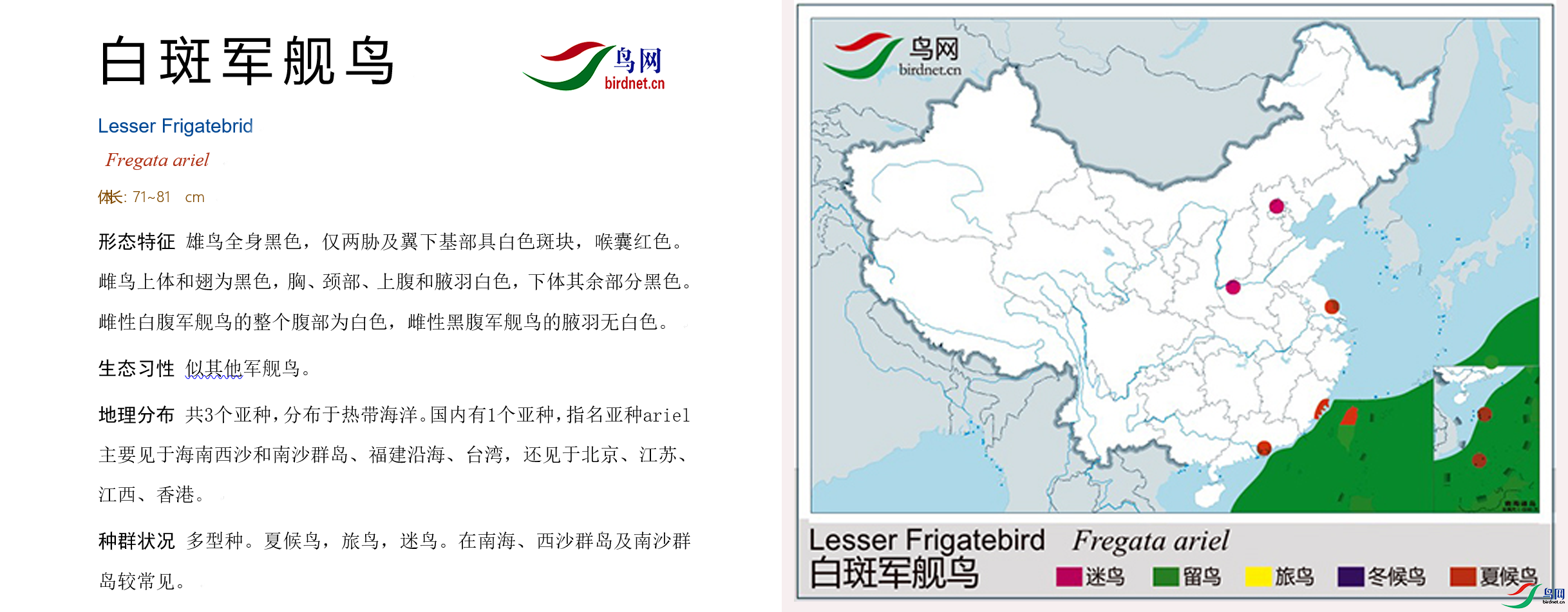 182932maquq77s6uquq7rc.png