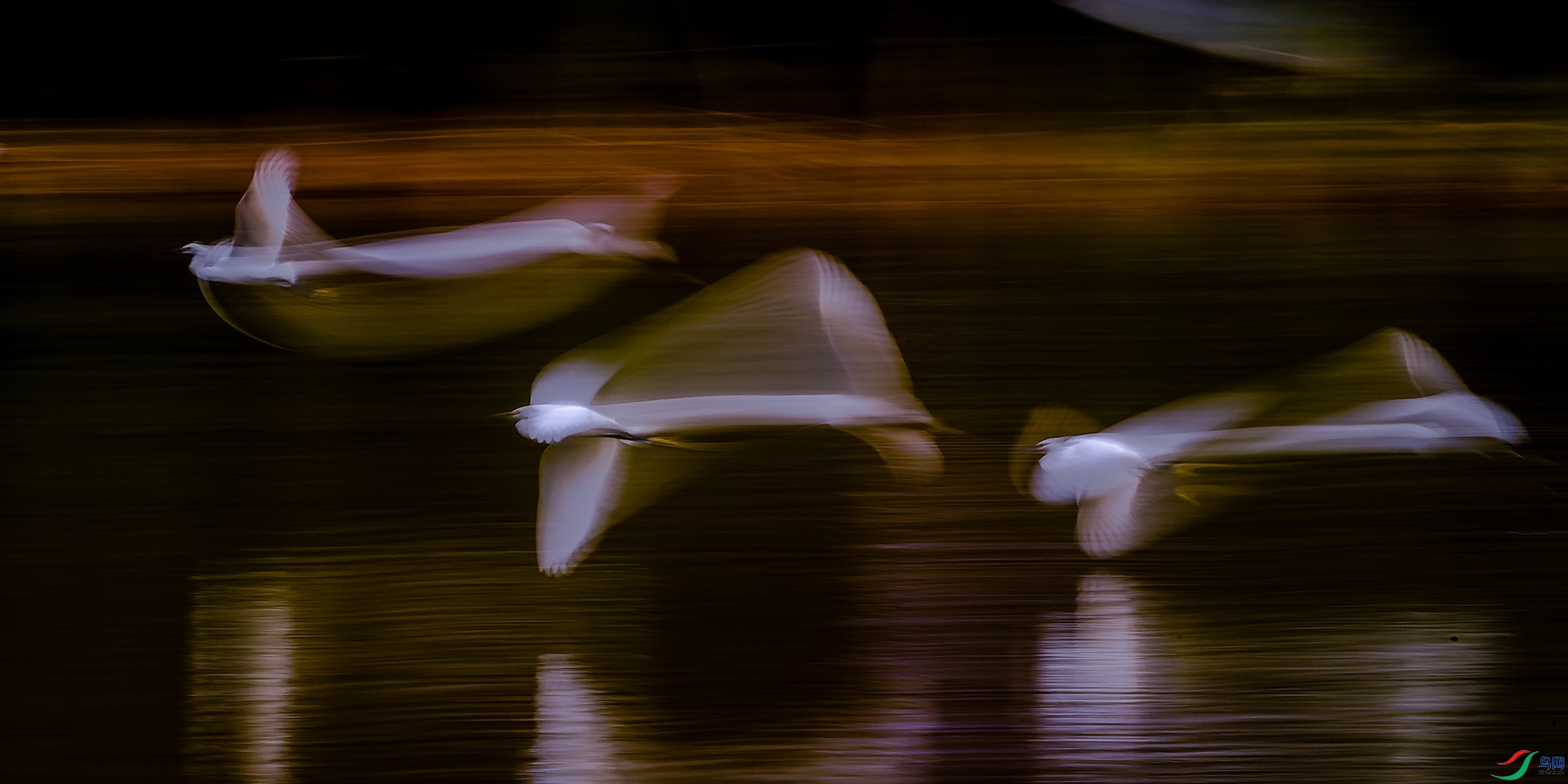 26.01��LPY_3919.jpg