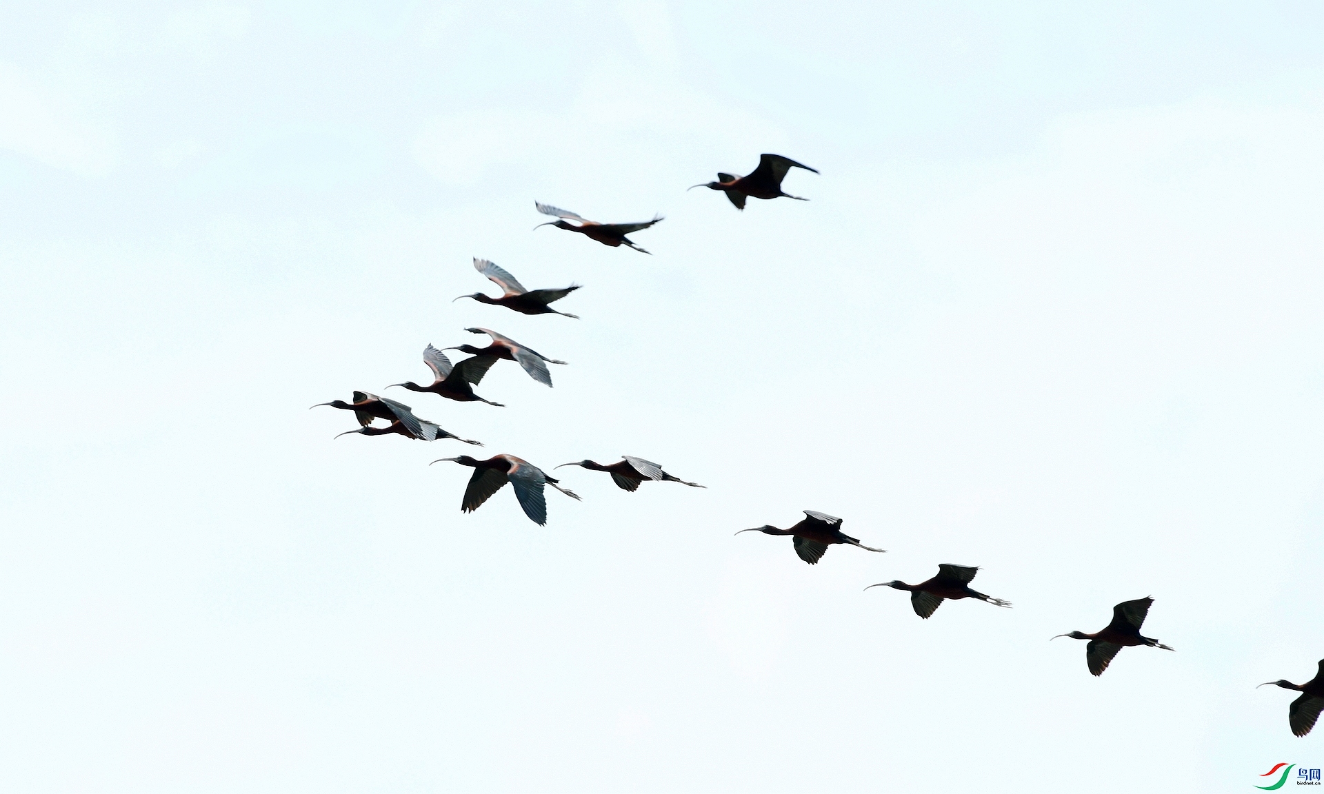 DSC_9544.jpg