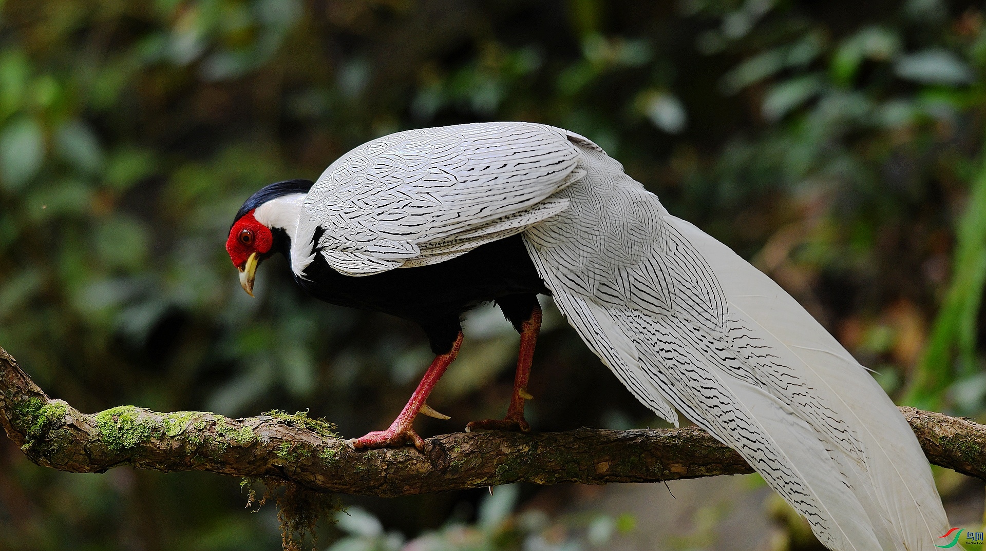 DSC_7253.jpg