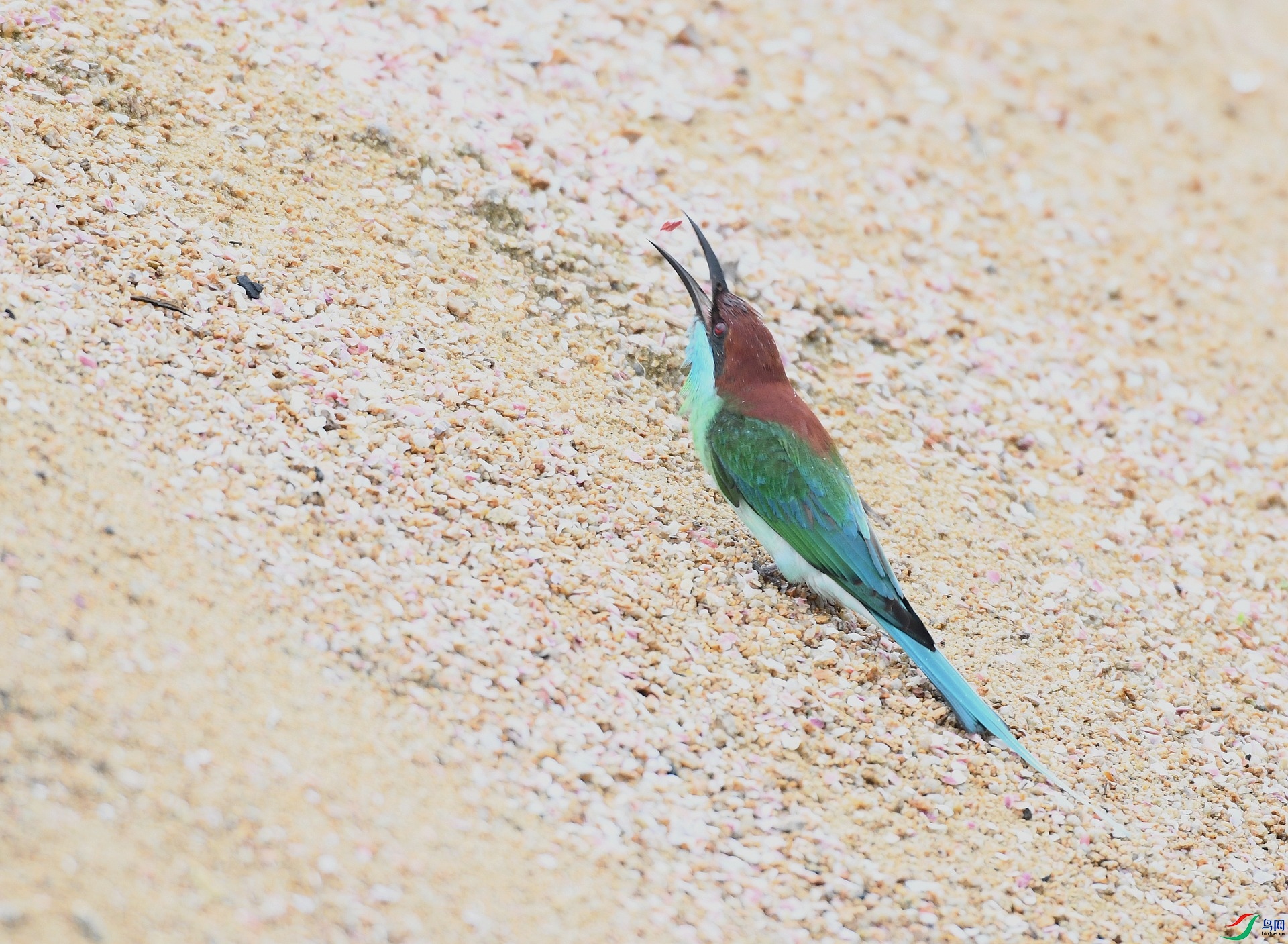 DSC_1411.jpg