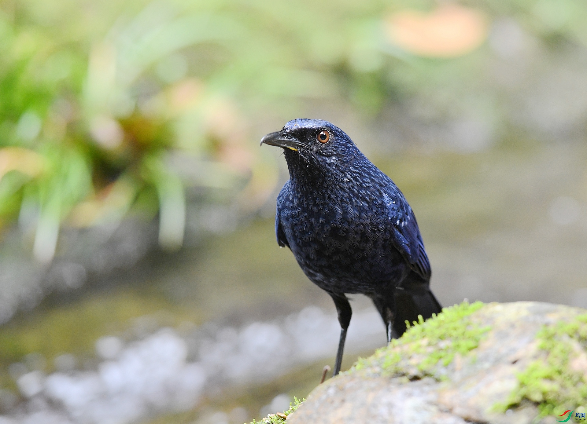 DSC_0768.jpg