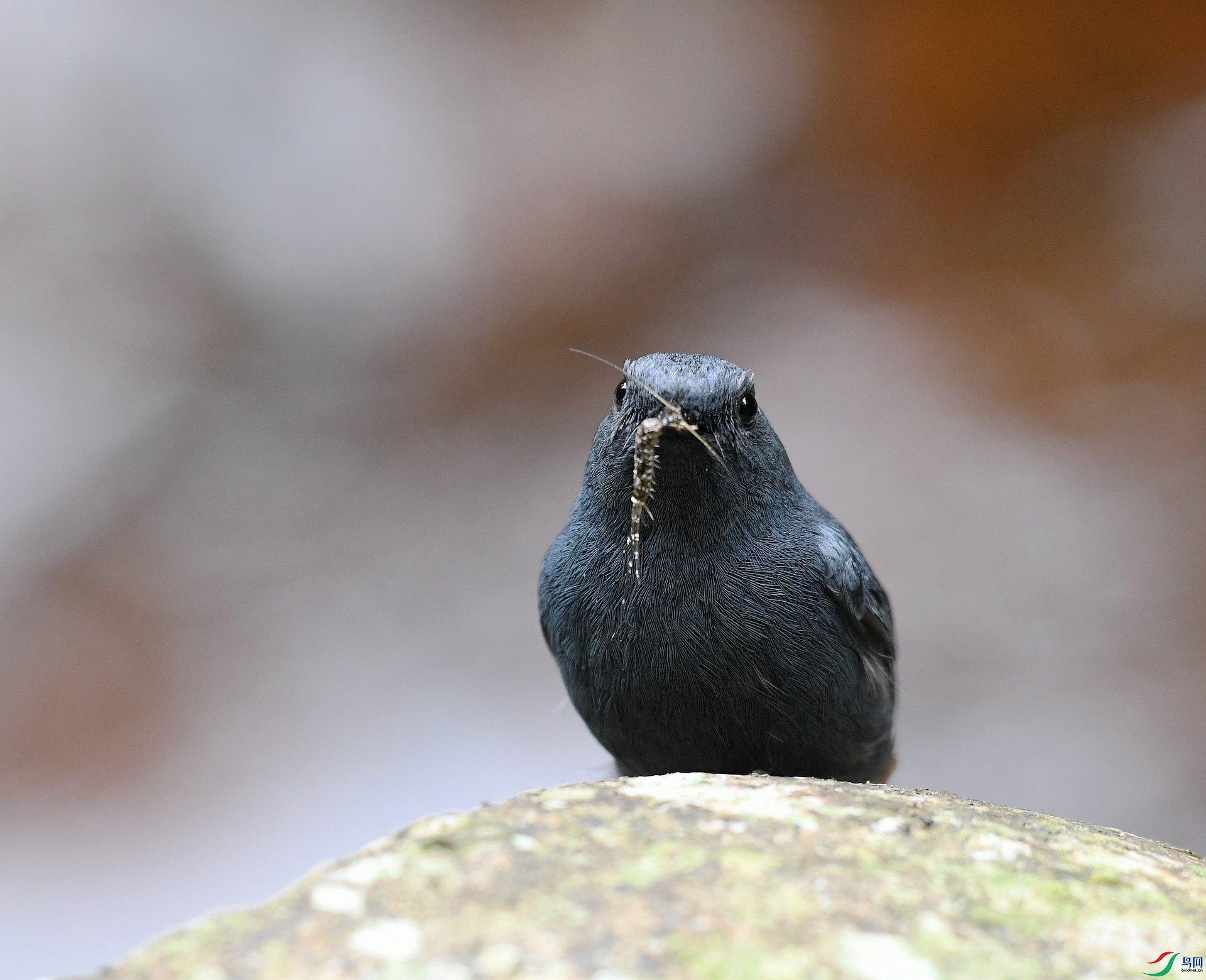 DSC_0891.jpg