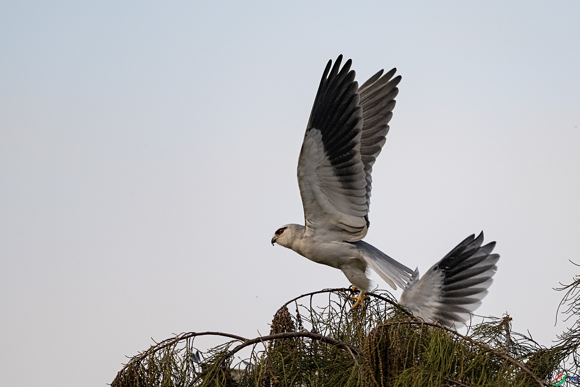 DSC_2147.jpg