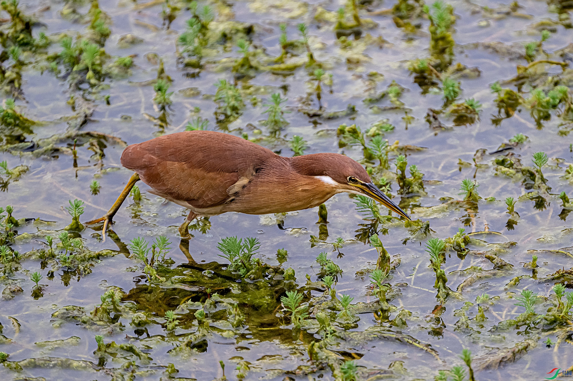 DSC_3996.jpg