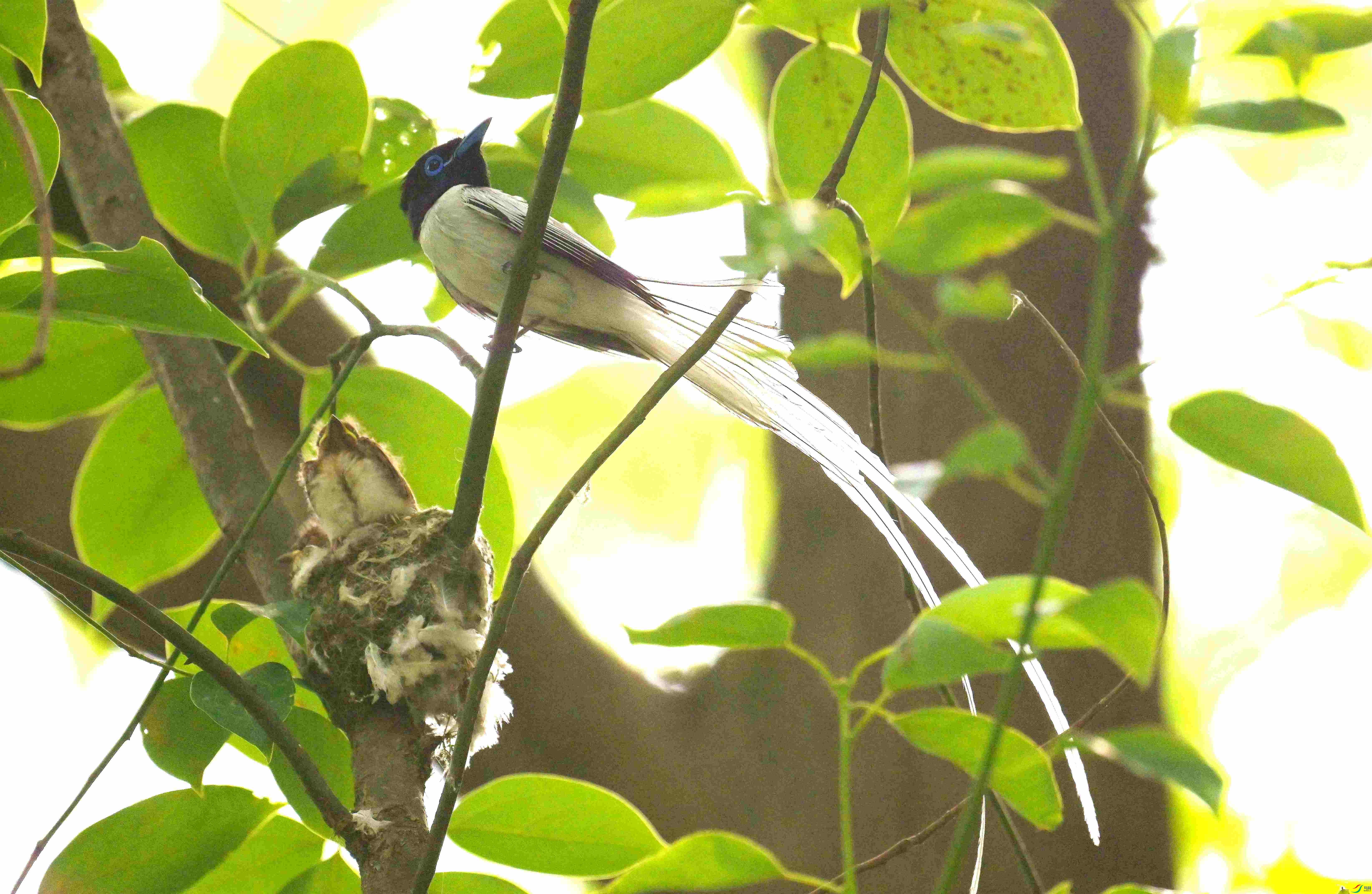 DSC_2079.jpg