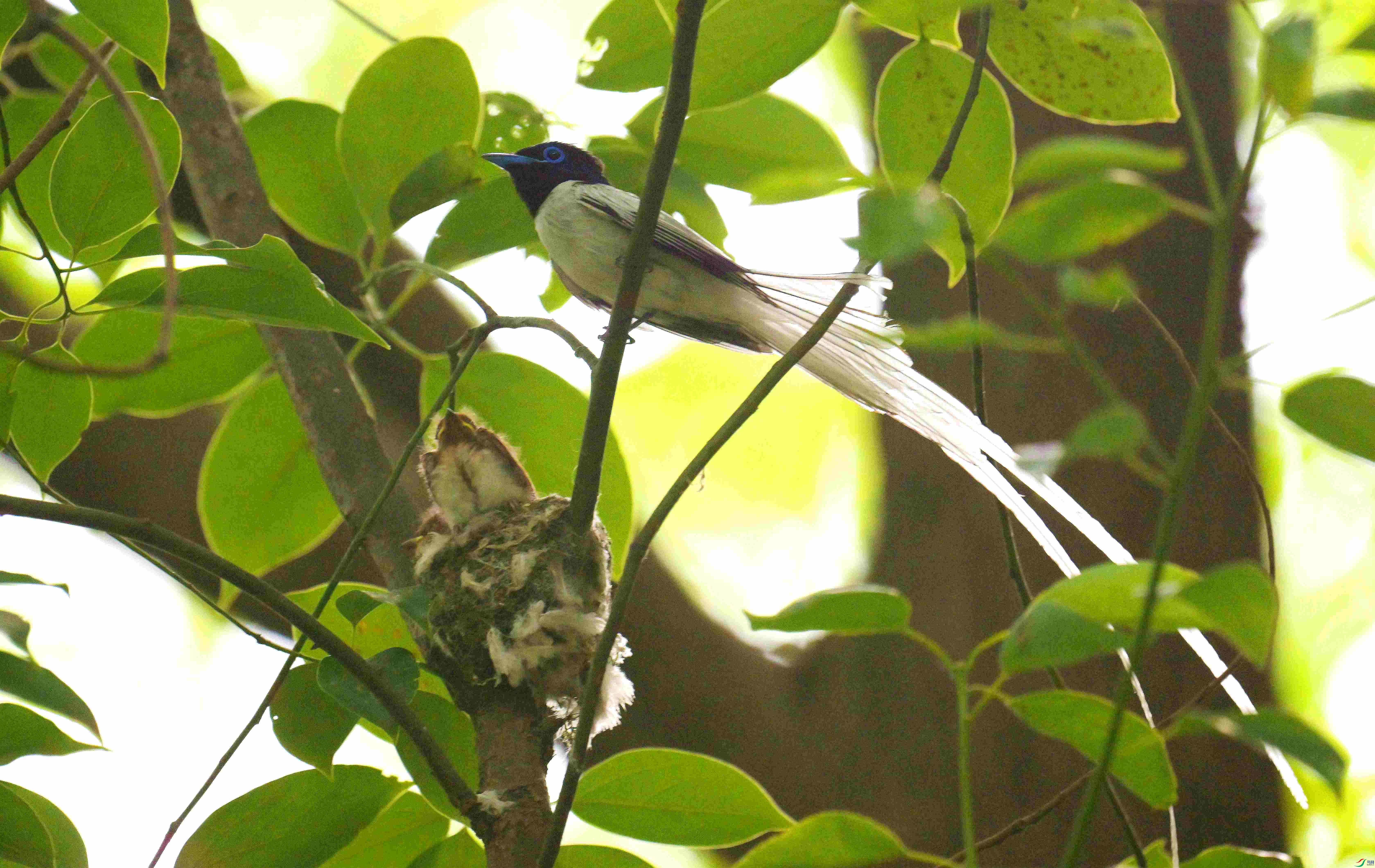 DSC_2084.jpg