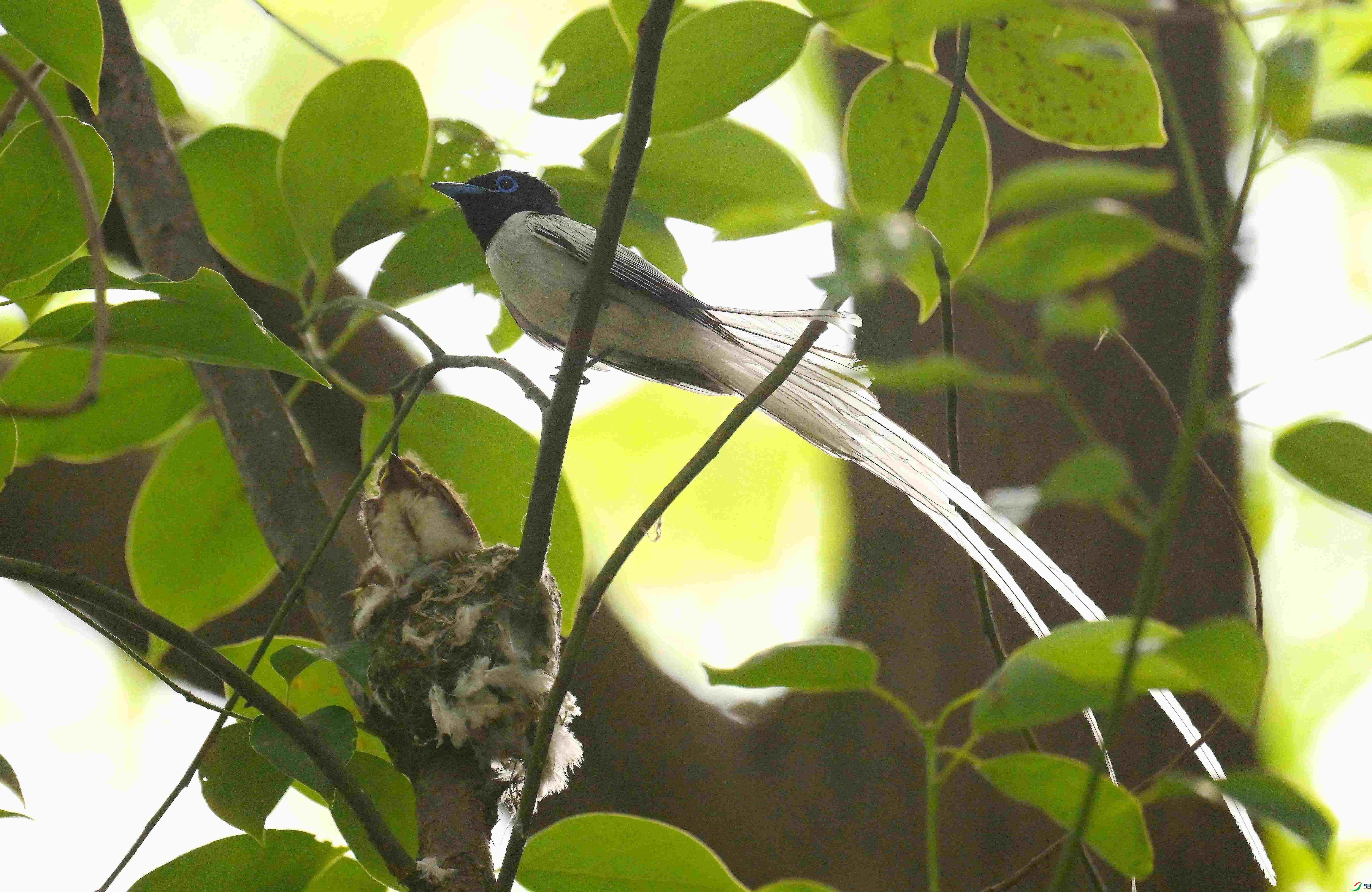 DSC_2082.jpg