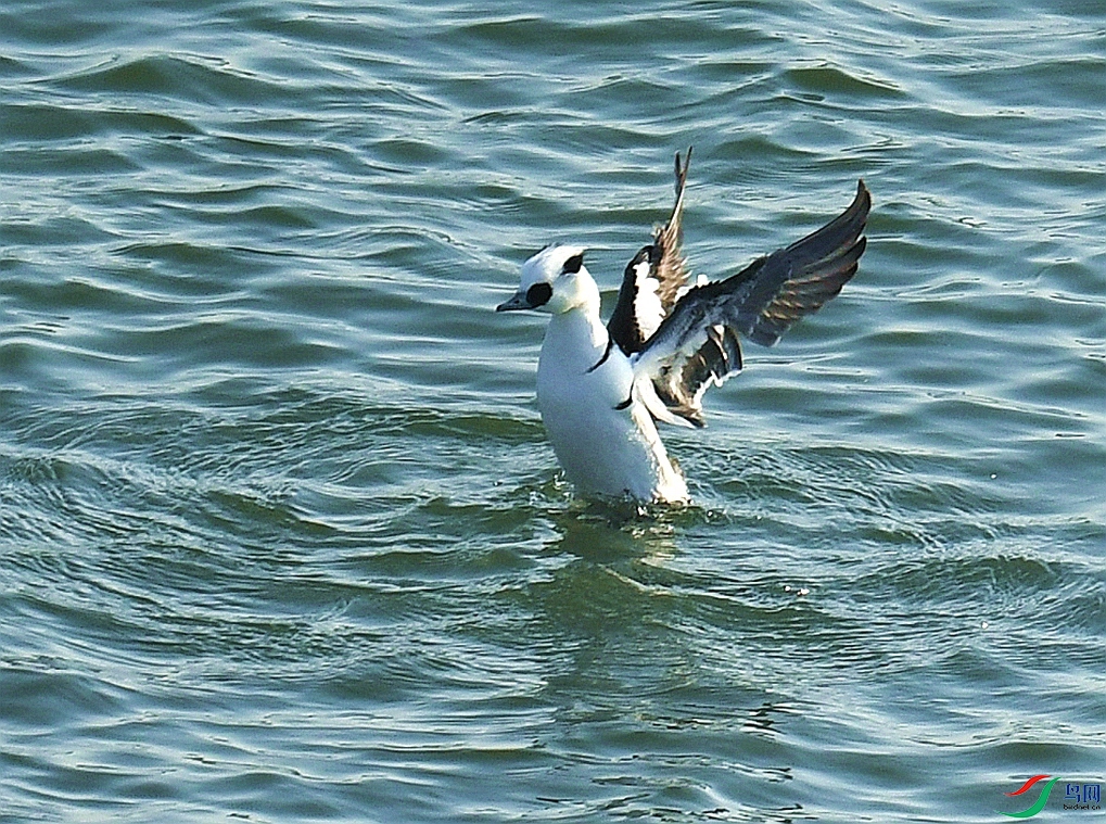 DSC_4811.jpg