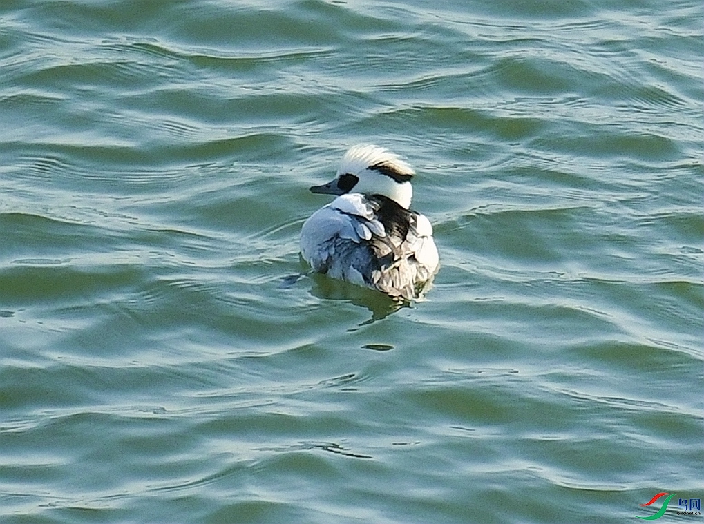 DSC_4710.jpg