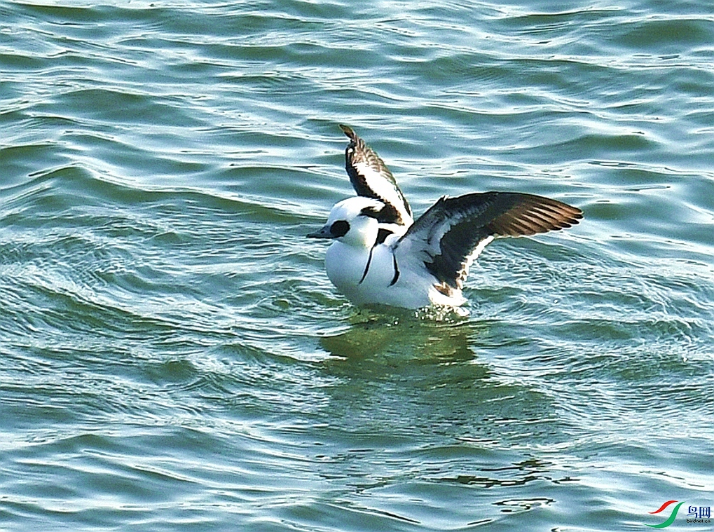 DSC_4813.jpg