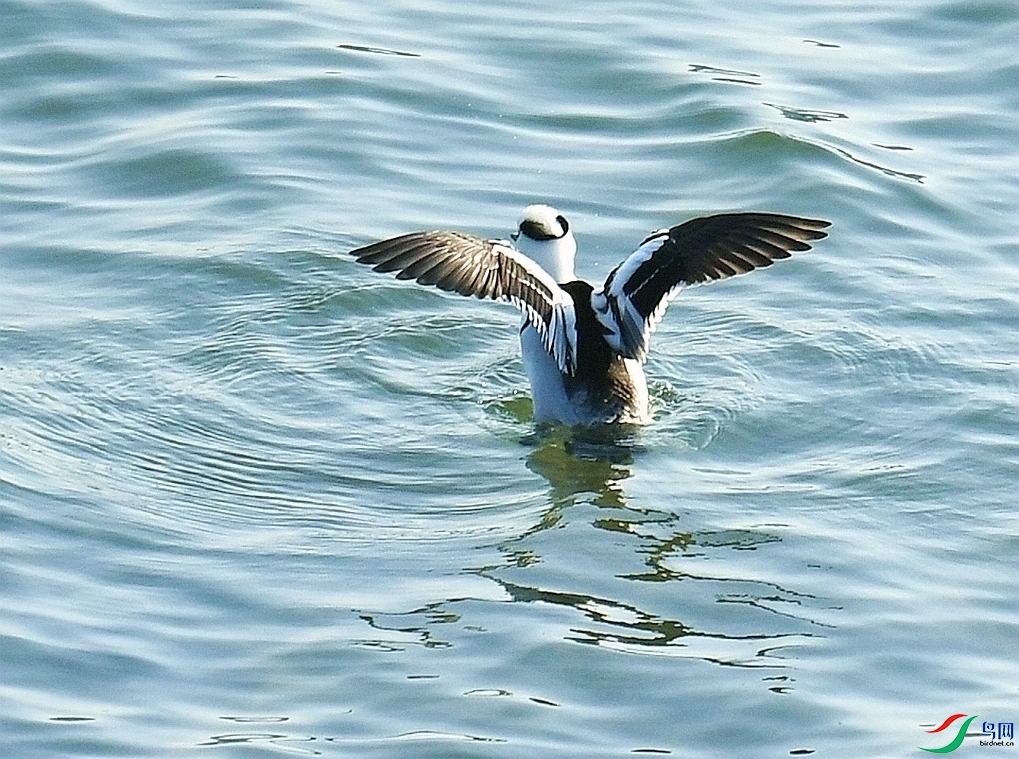 DSC_4646.jpg