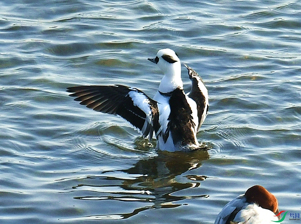 DSC_4875.jpg